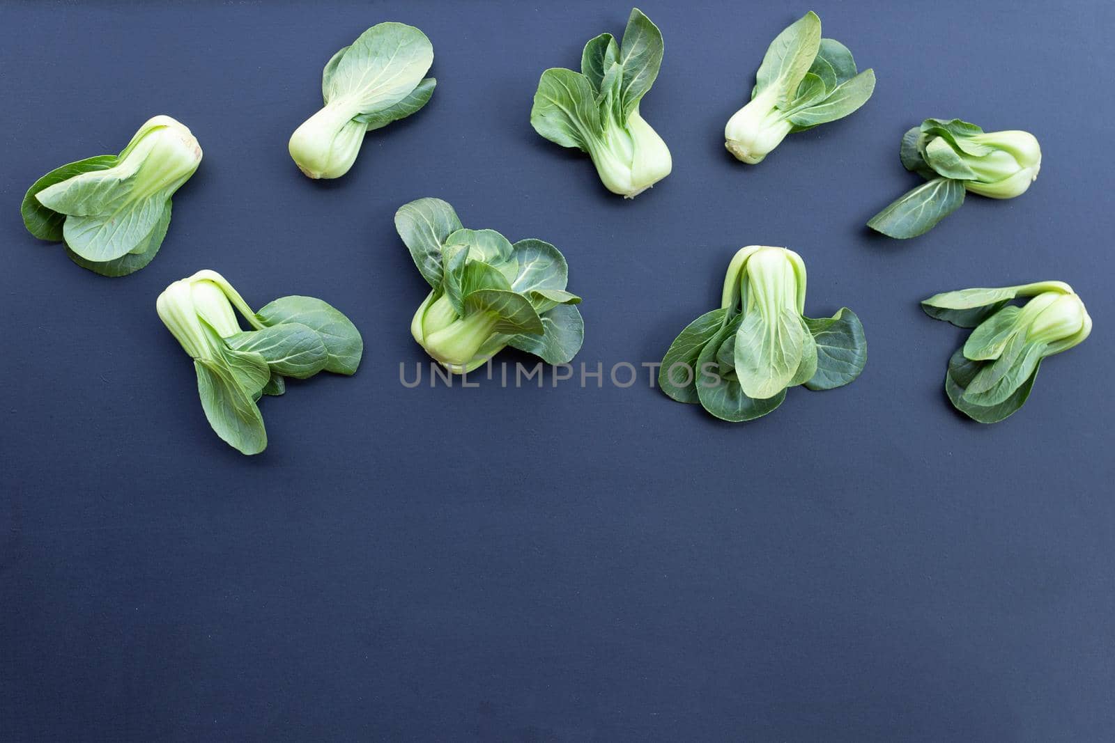 Bok choy on dark background.