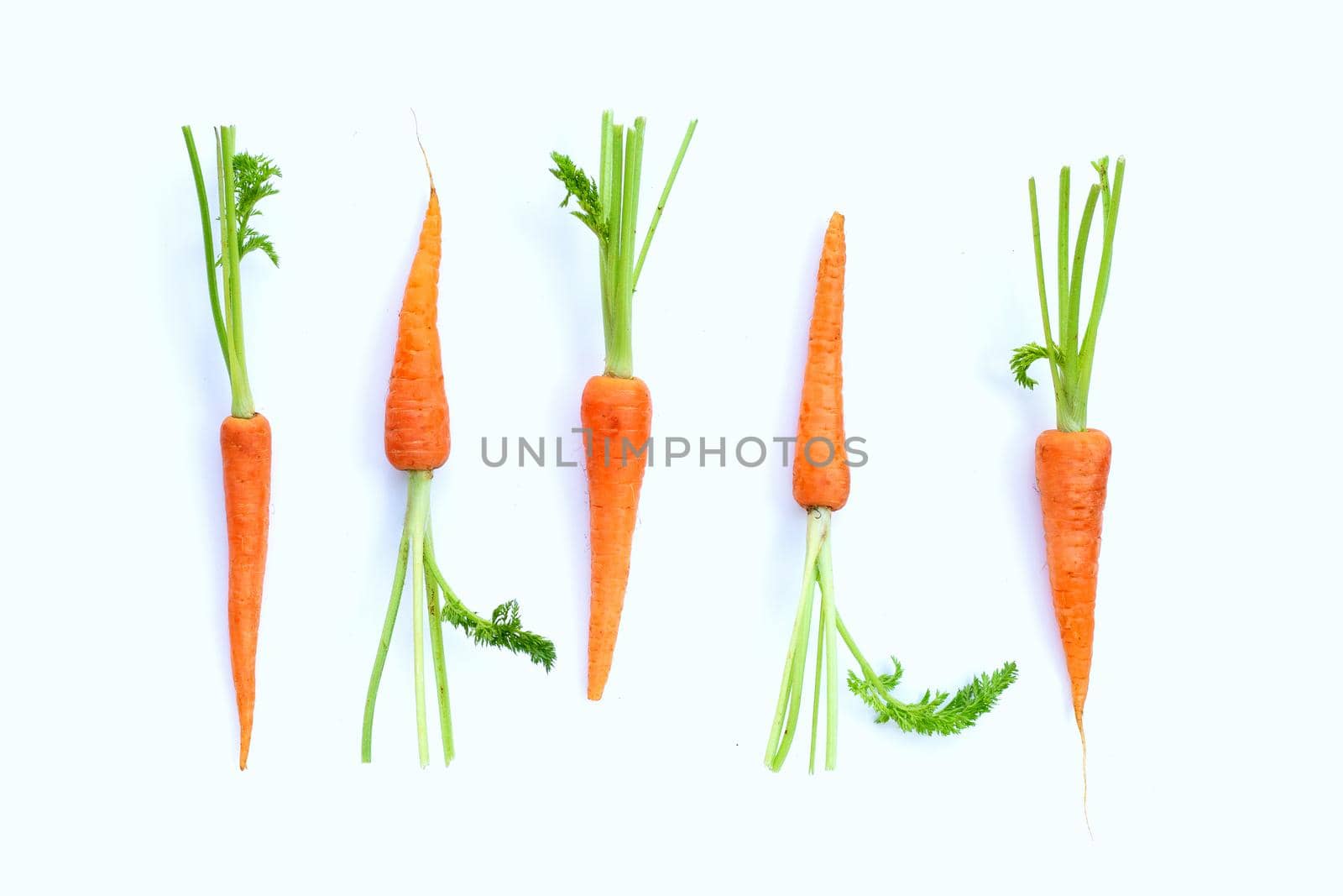 Fresh carrots on white background.