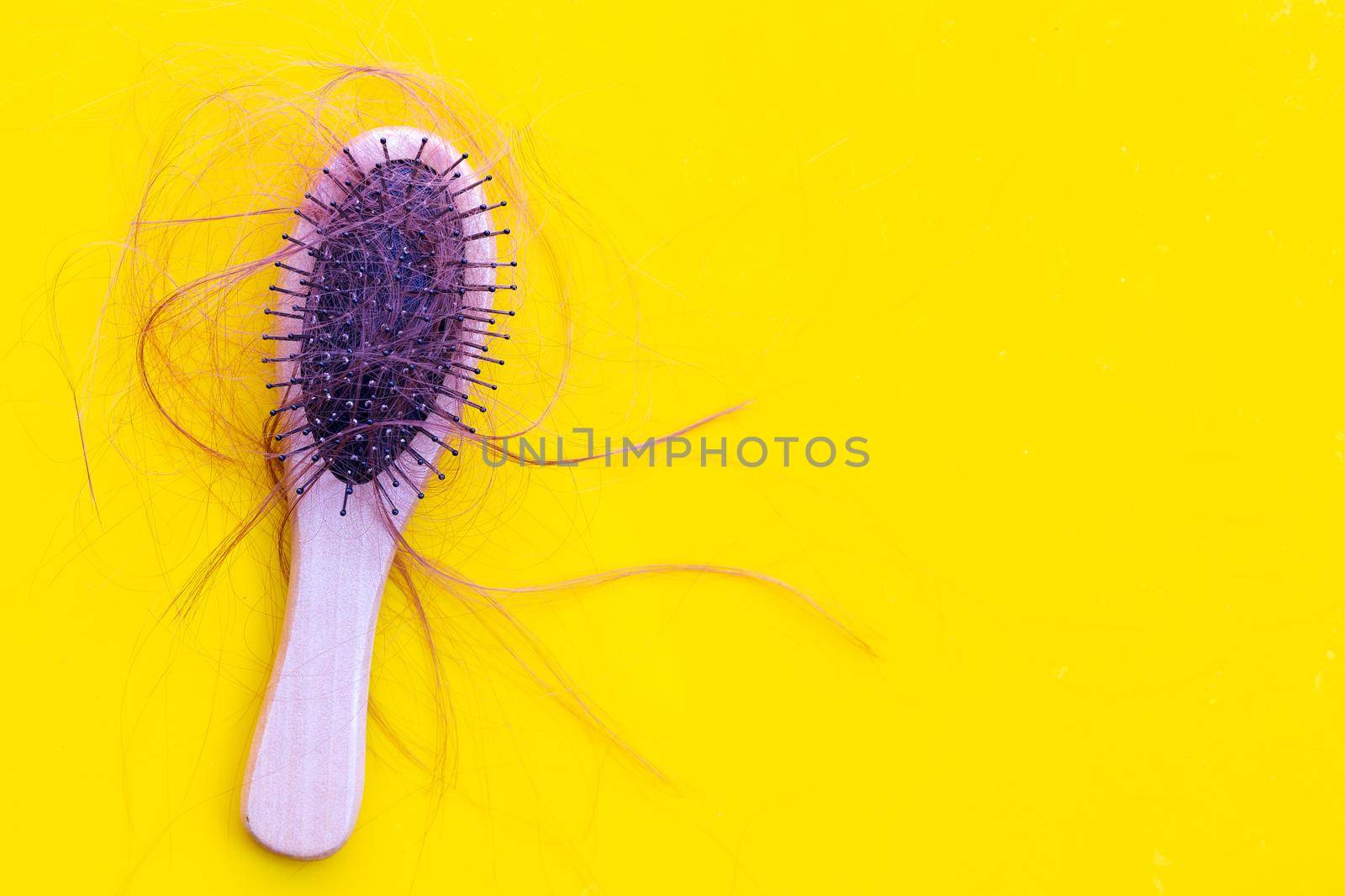 Hairs loss fall in comb on yellow background.
