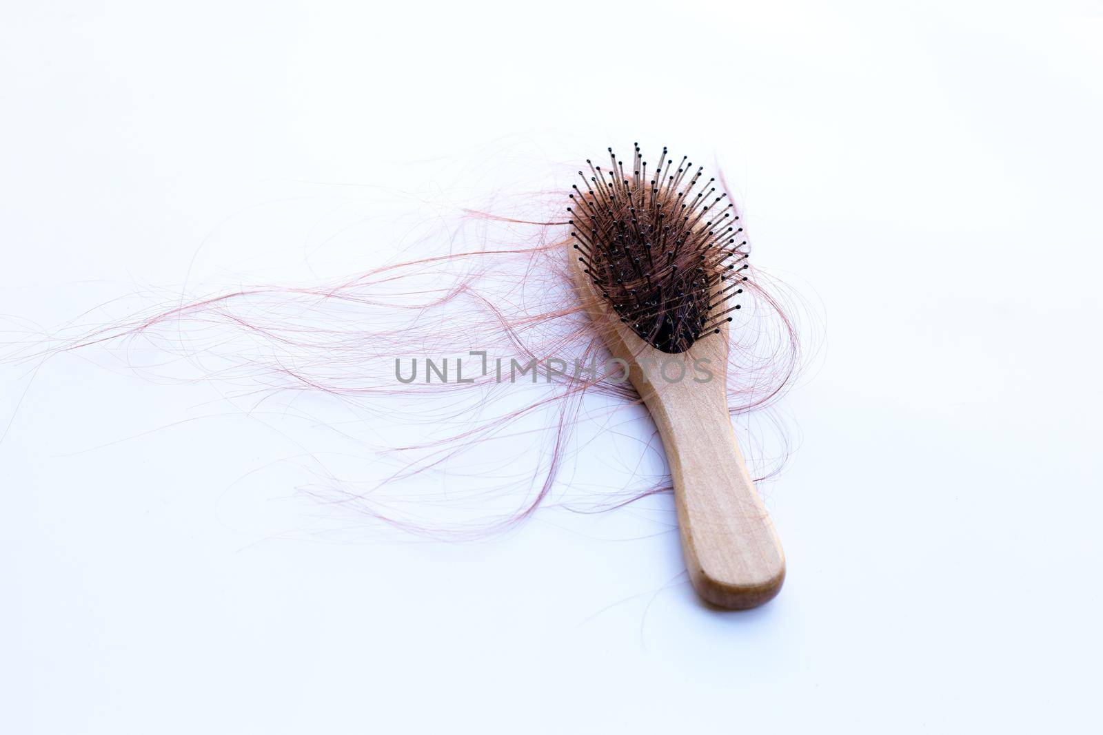 Hairs loss fall in comb on white background.