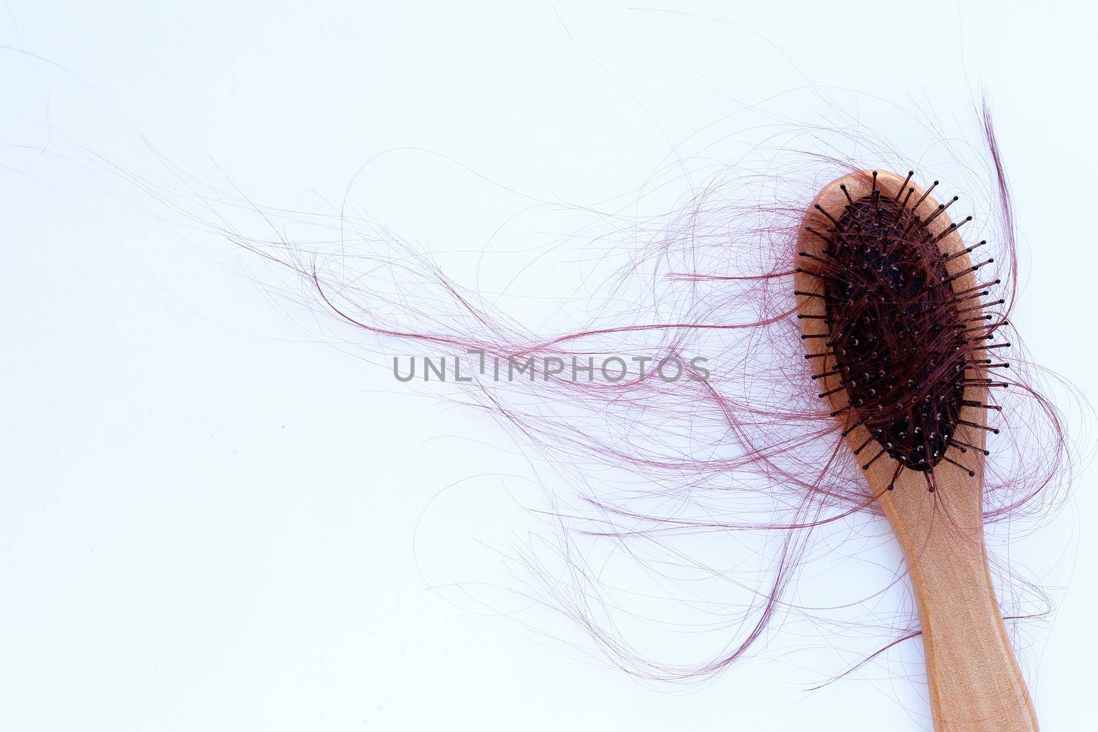 Hairs loss fall in comb on white background.