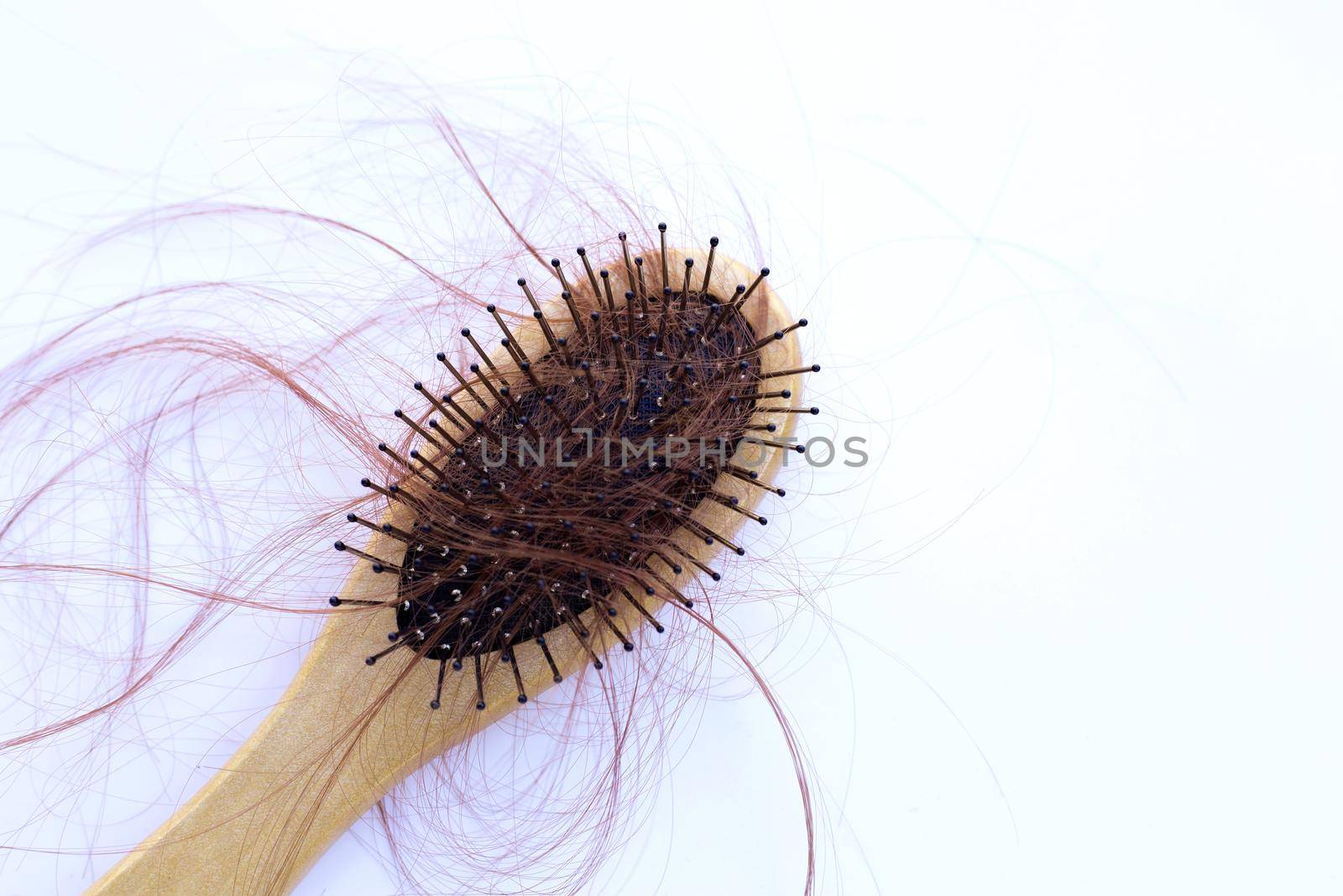 Hairs loss fall in comb on white background.