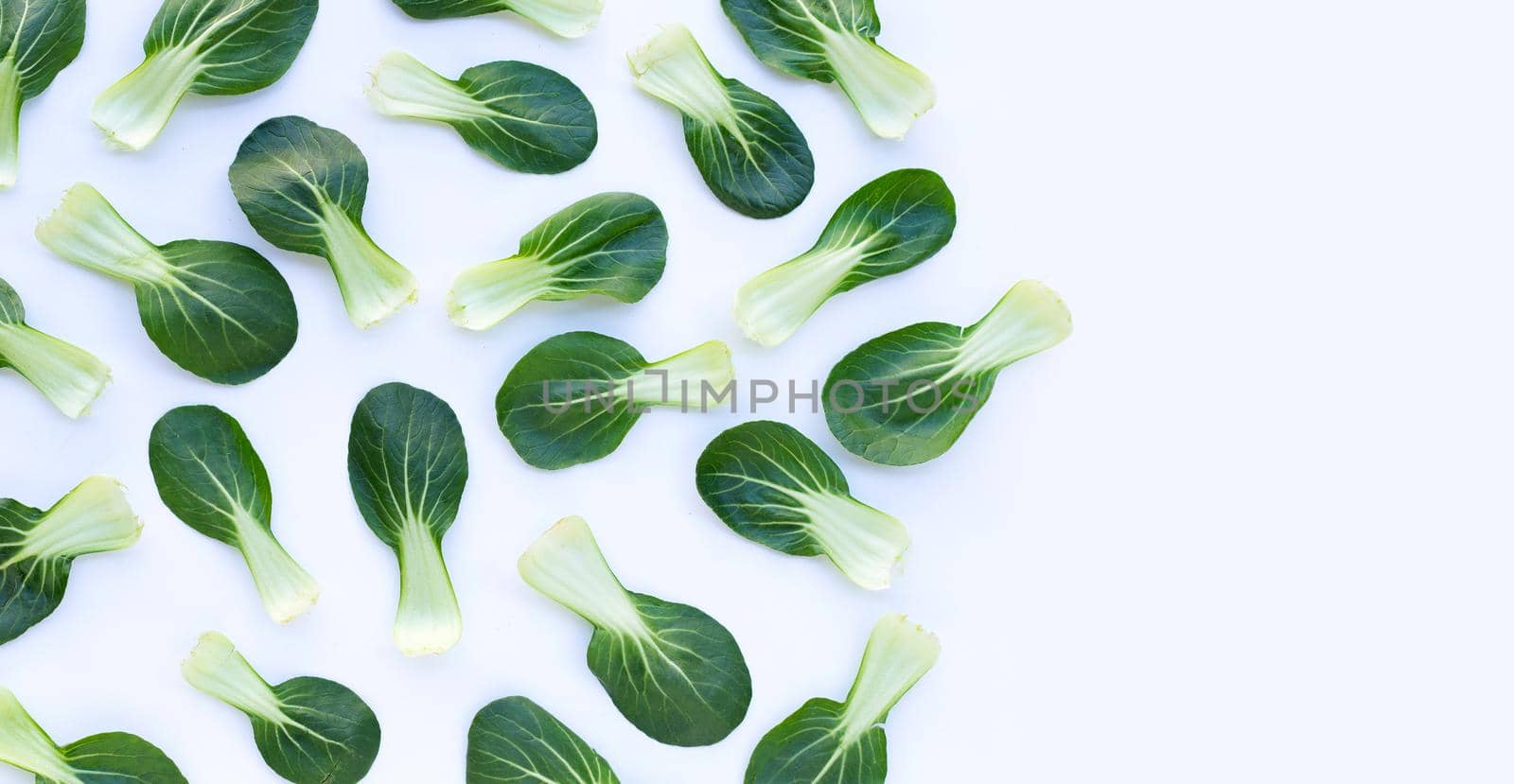 Bok choy on white background.
