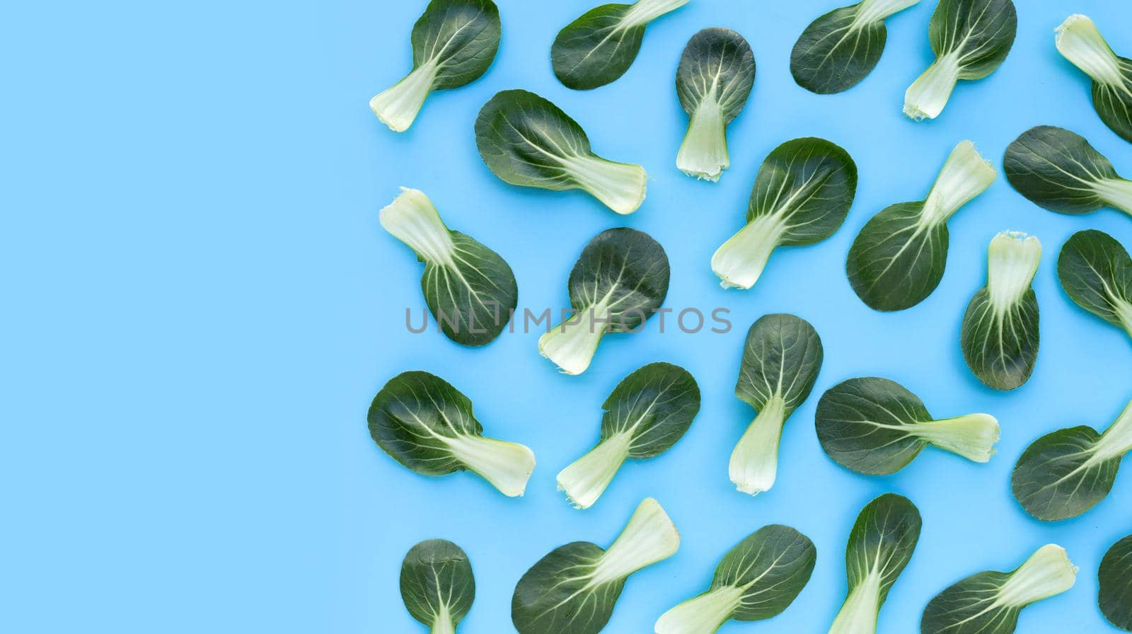 Bok choy on blue background.