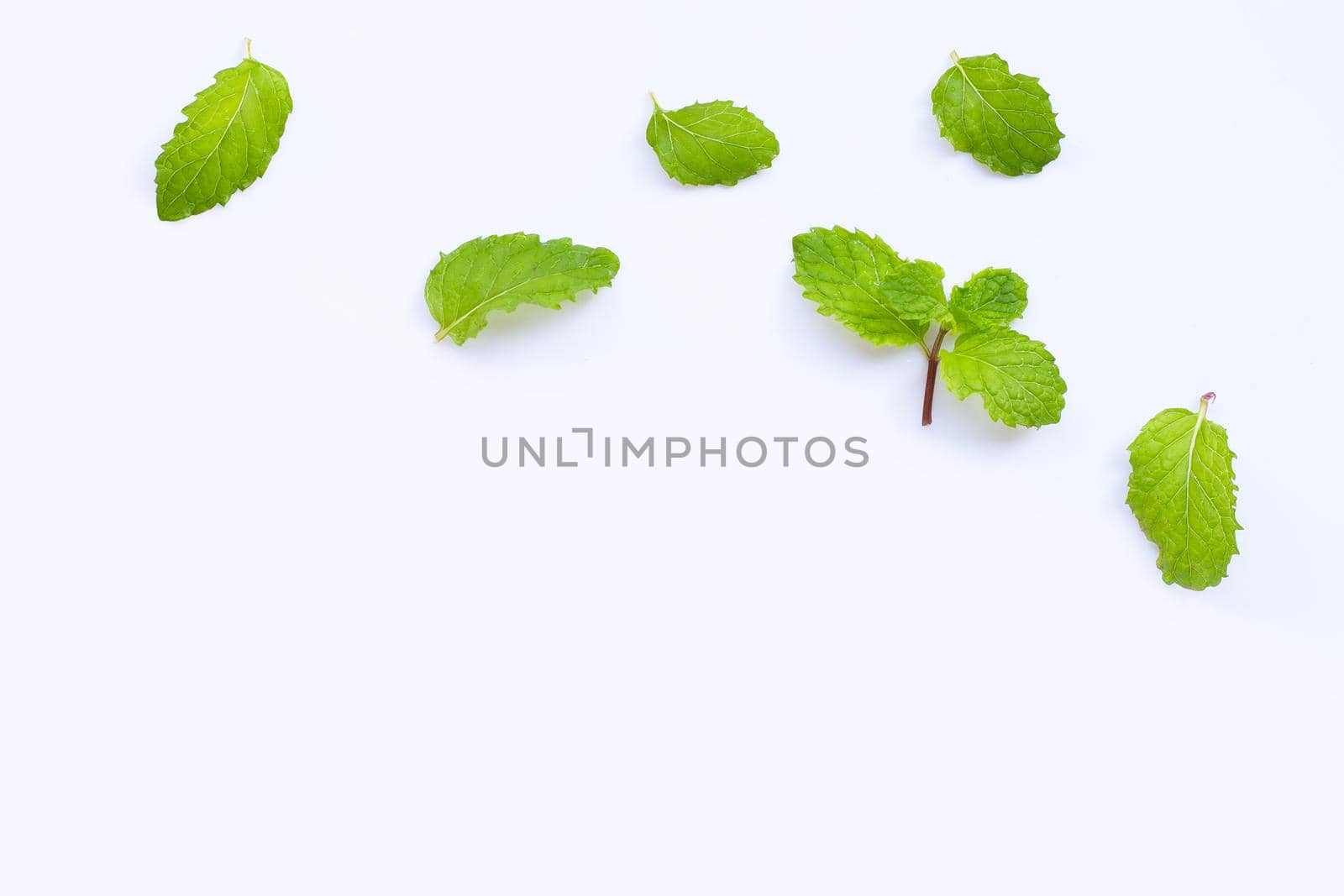 Fresh mint leaves isolated on white background. Copy space