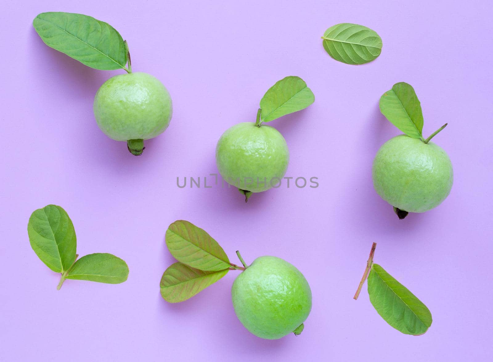Top view of fresh ripe guava with leaves on pink background.
