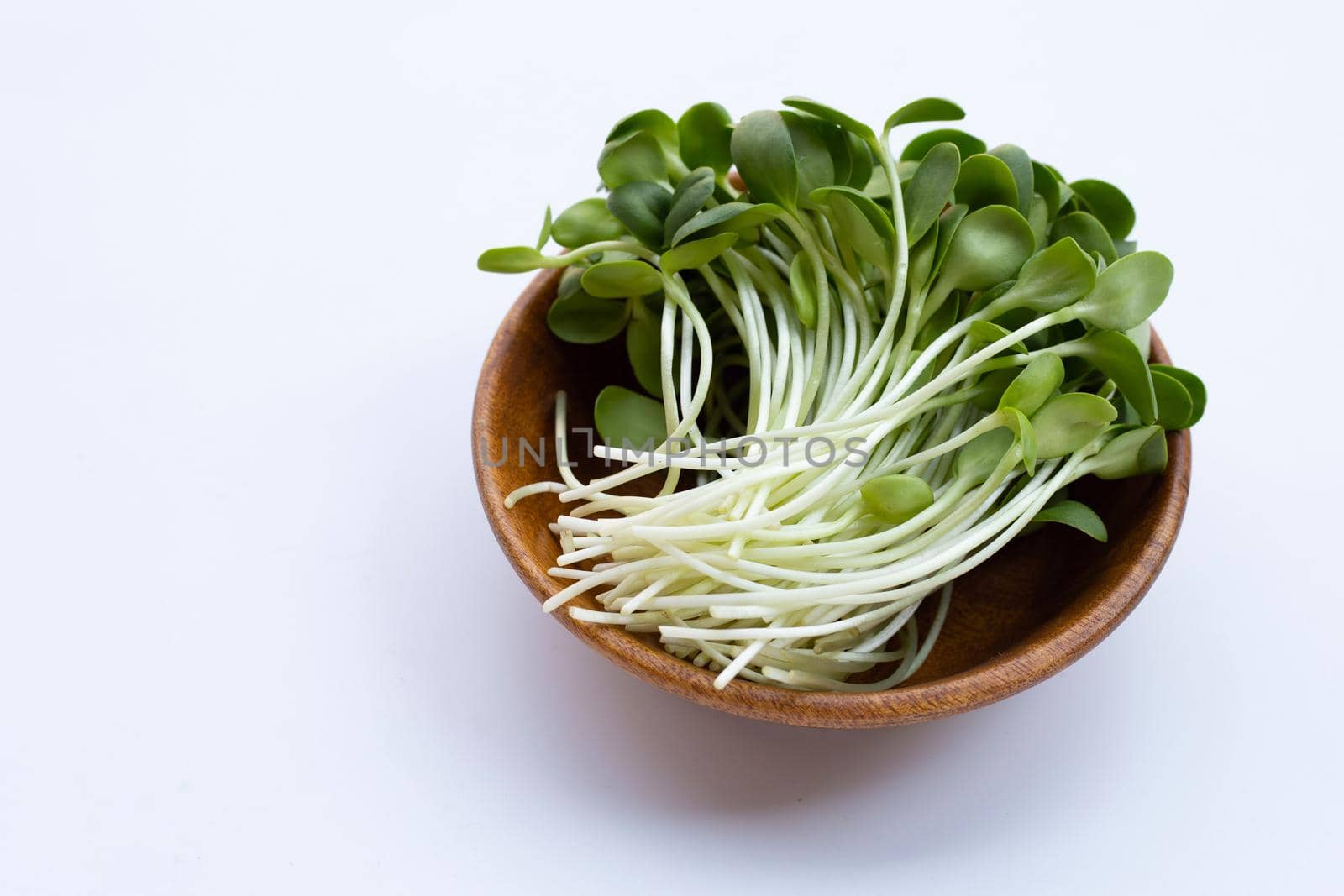  Sunflower Sprout  in wooden bowl on white background.
