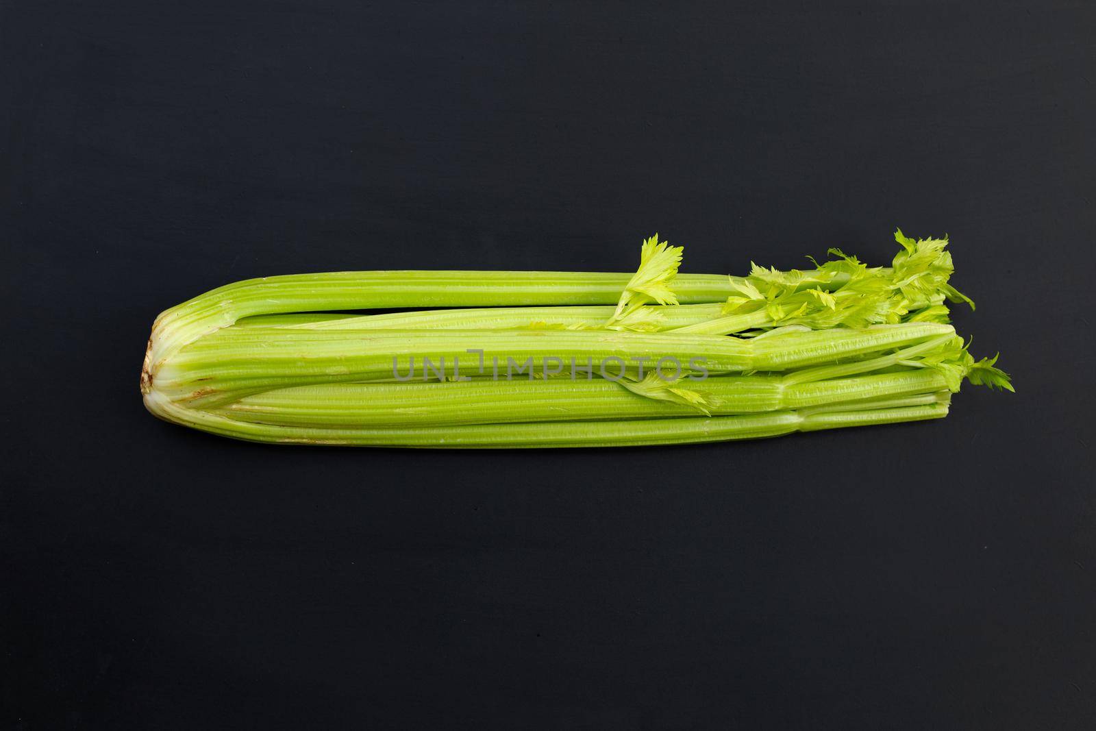 Fresh celery on dark background.