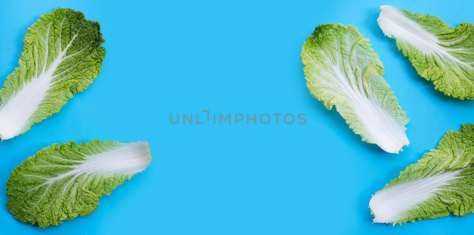Chinese cabbage on blue background. Copy space
