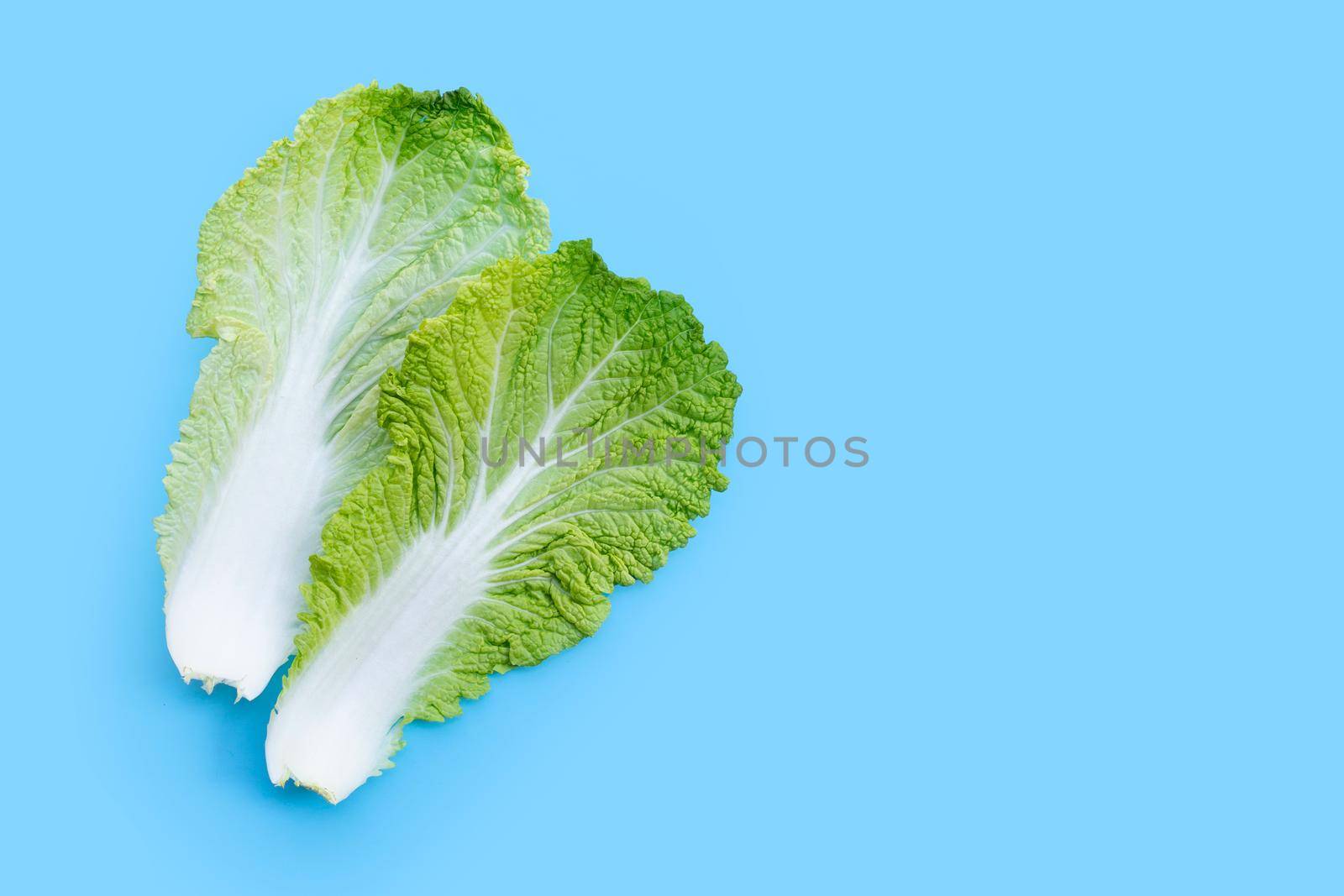 Chinese cabbage on blue background. Copy space