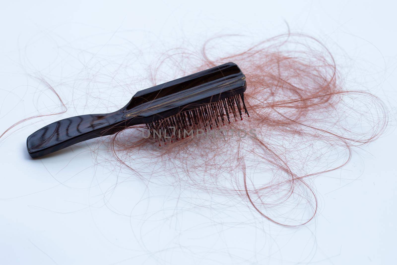 Hairs loss fall in comb on white background.