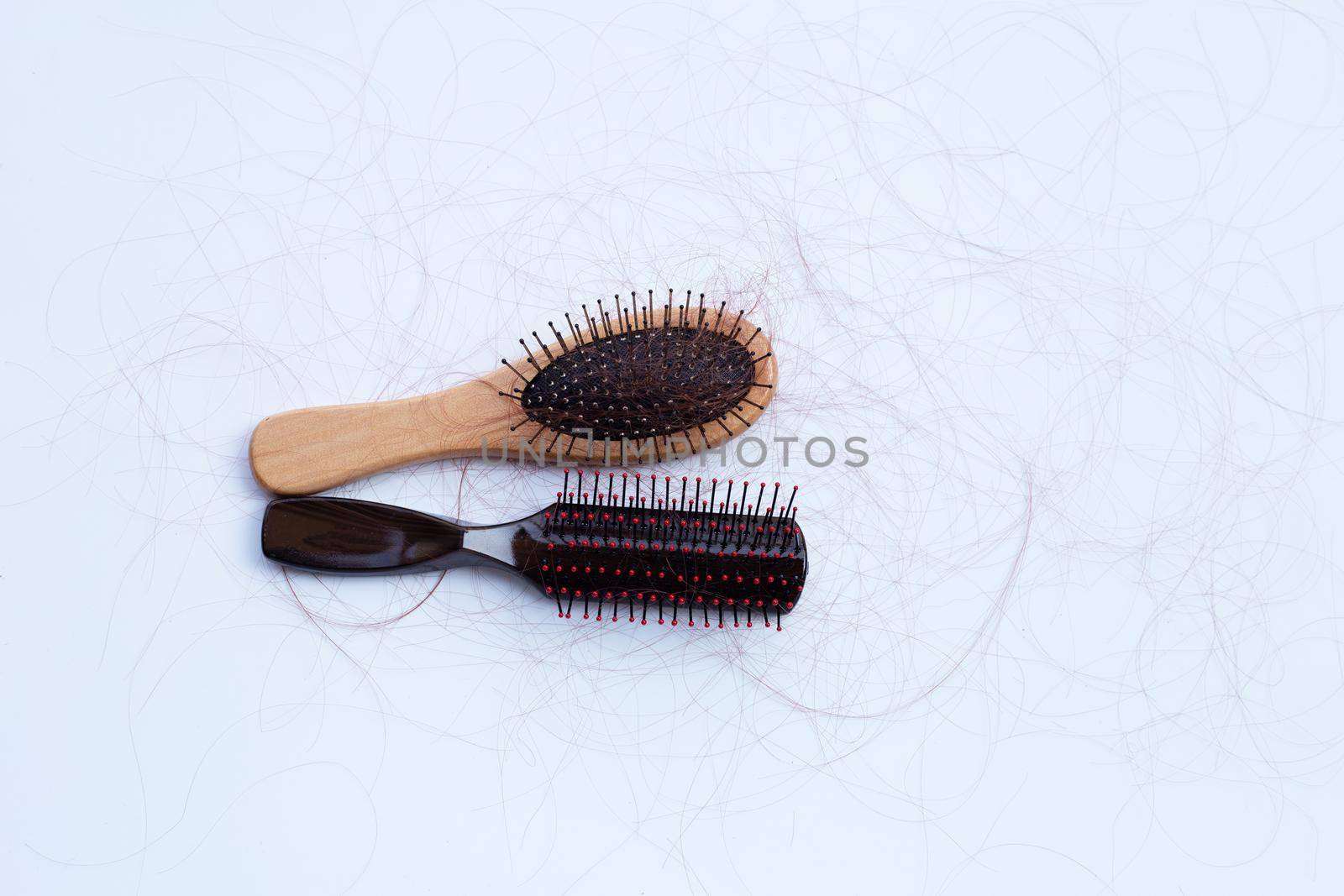 Hairs loss fall in combs on white background.