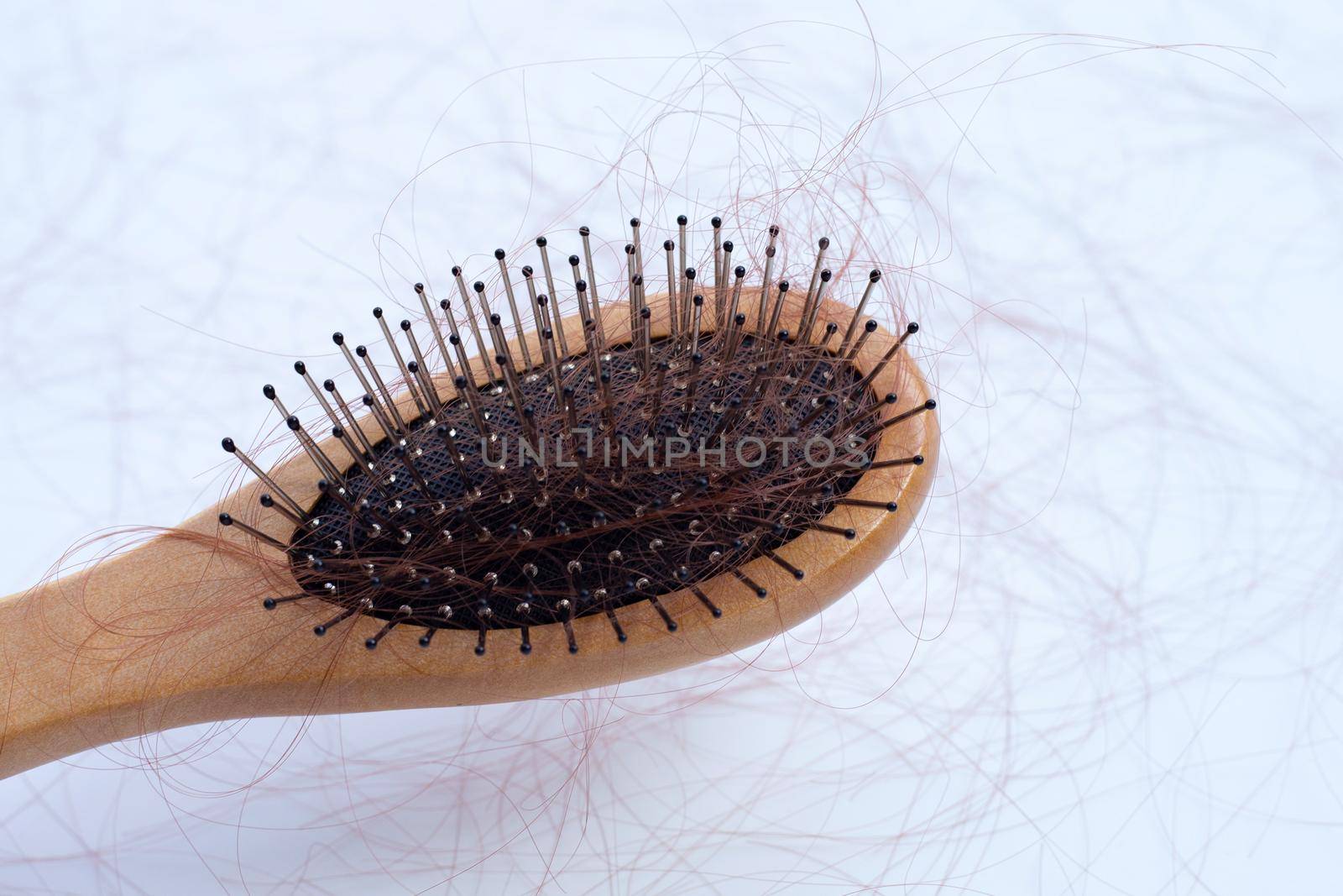 Hairs loss fall in comb on white background.