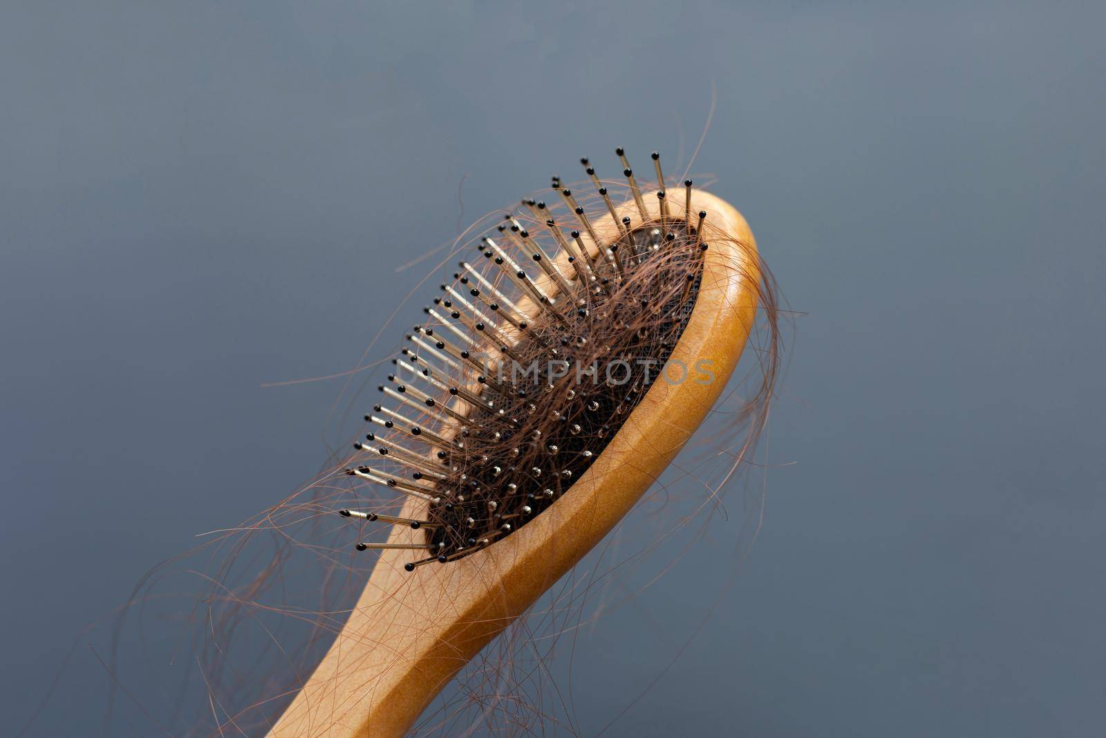 Hairs loss fall in comb on dark background.