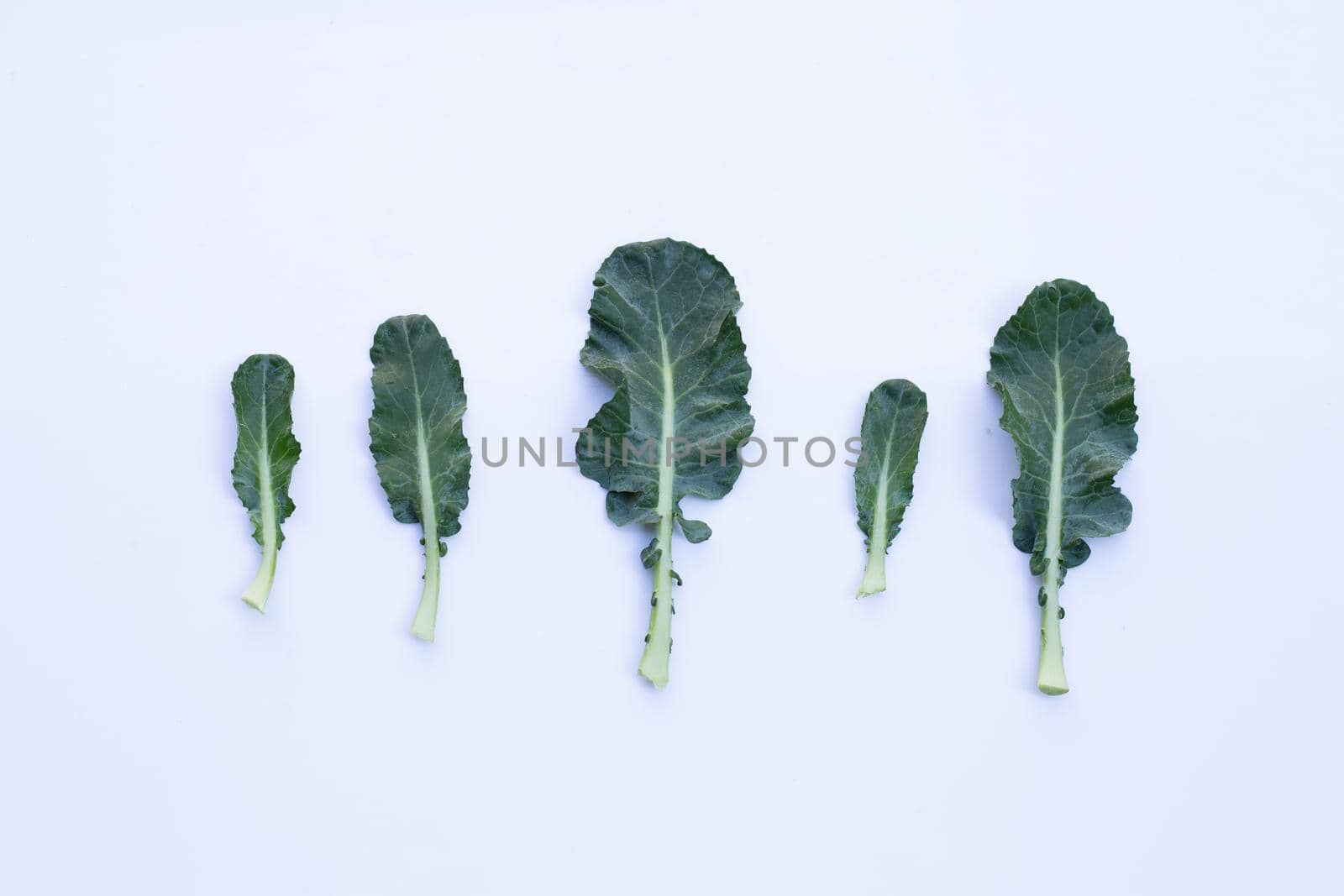 Fresh broccoli leaves on white background. Top view