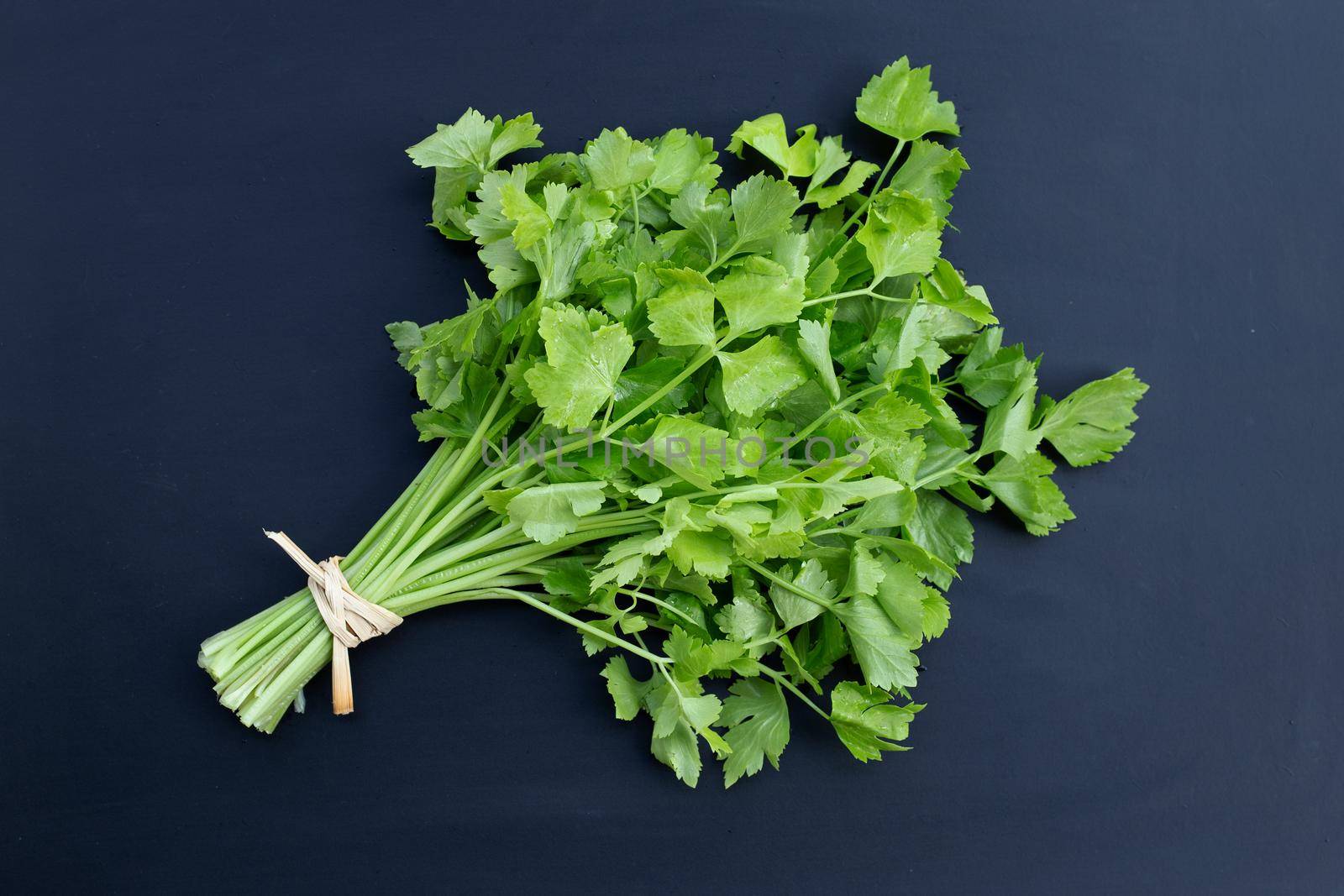 Chinese celery on white background