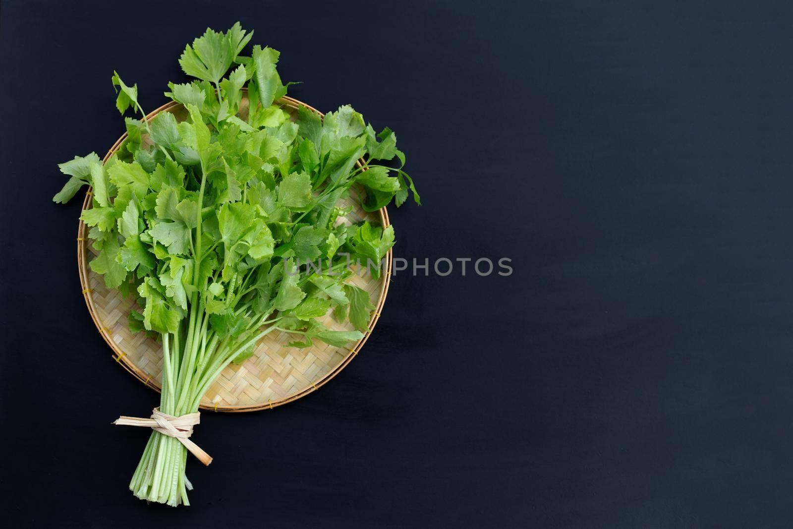 Chinese celery on dark background. Copy space