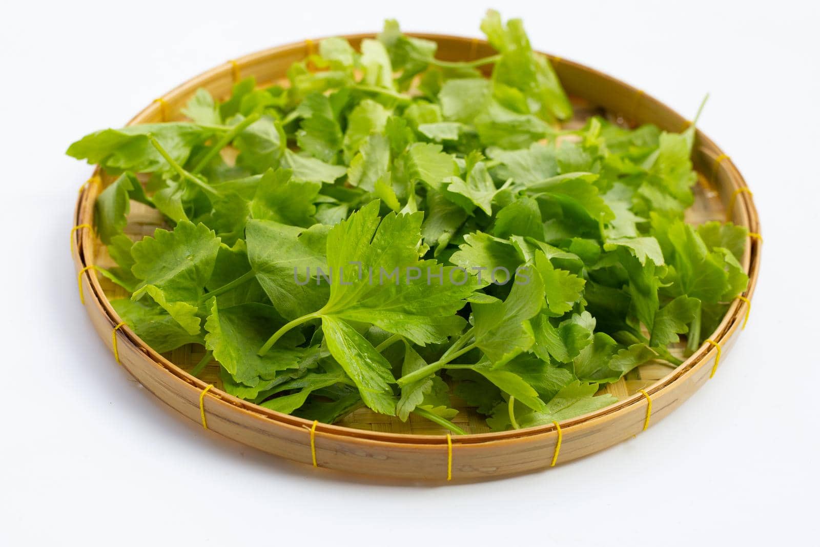 Chinese celery in bamboo basket on white background. 