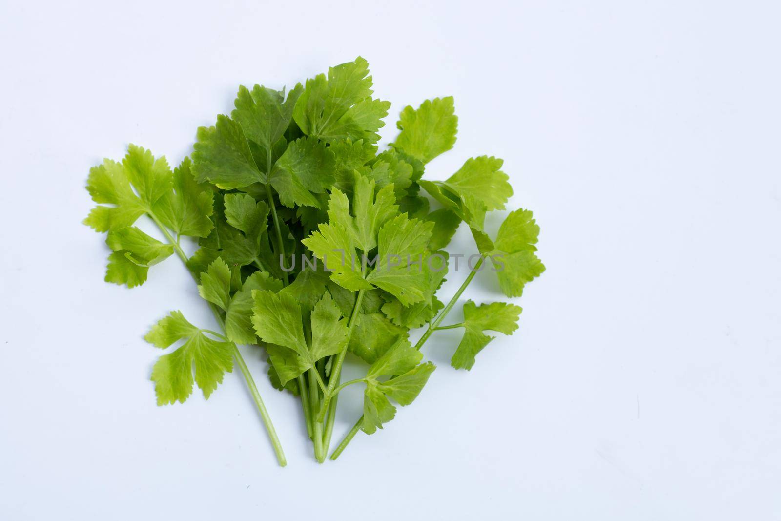 Chinese celery on white background