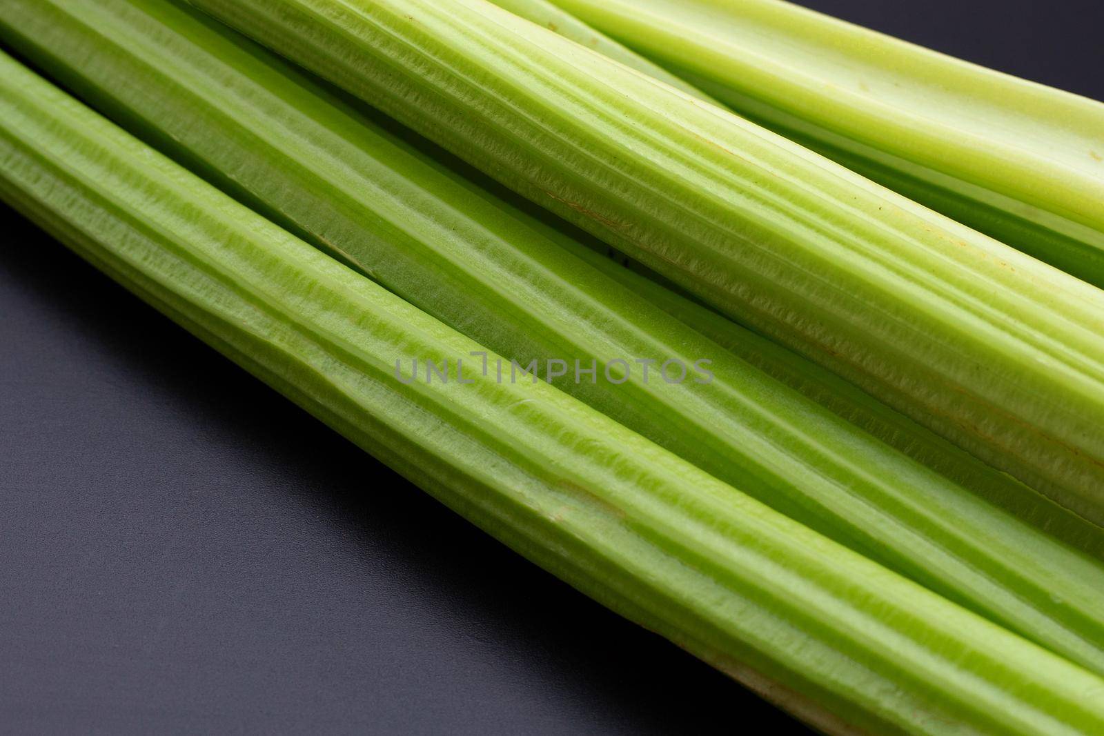 Fresh celery on dark background.