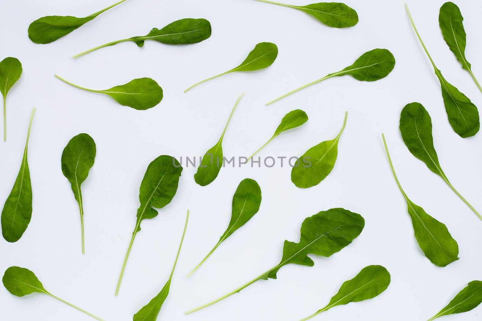 Fresh green rocket salad on white background.