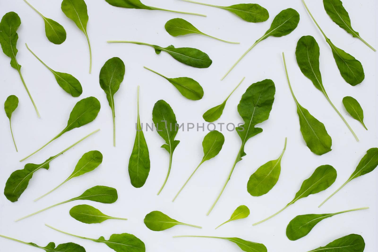 Fresh green rocket salad on white background.