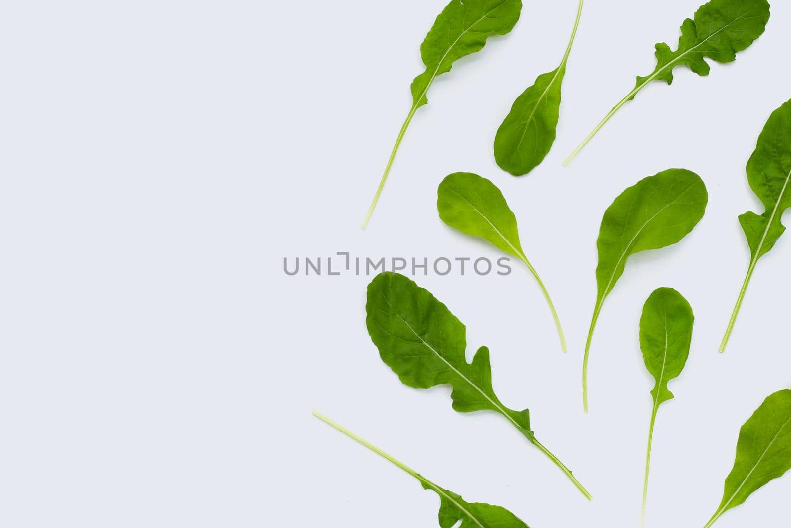 Fresh green rocket salad on white background.