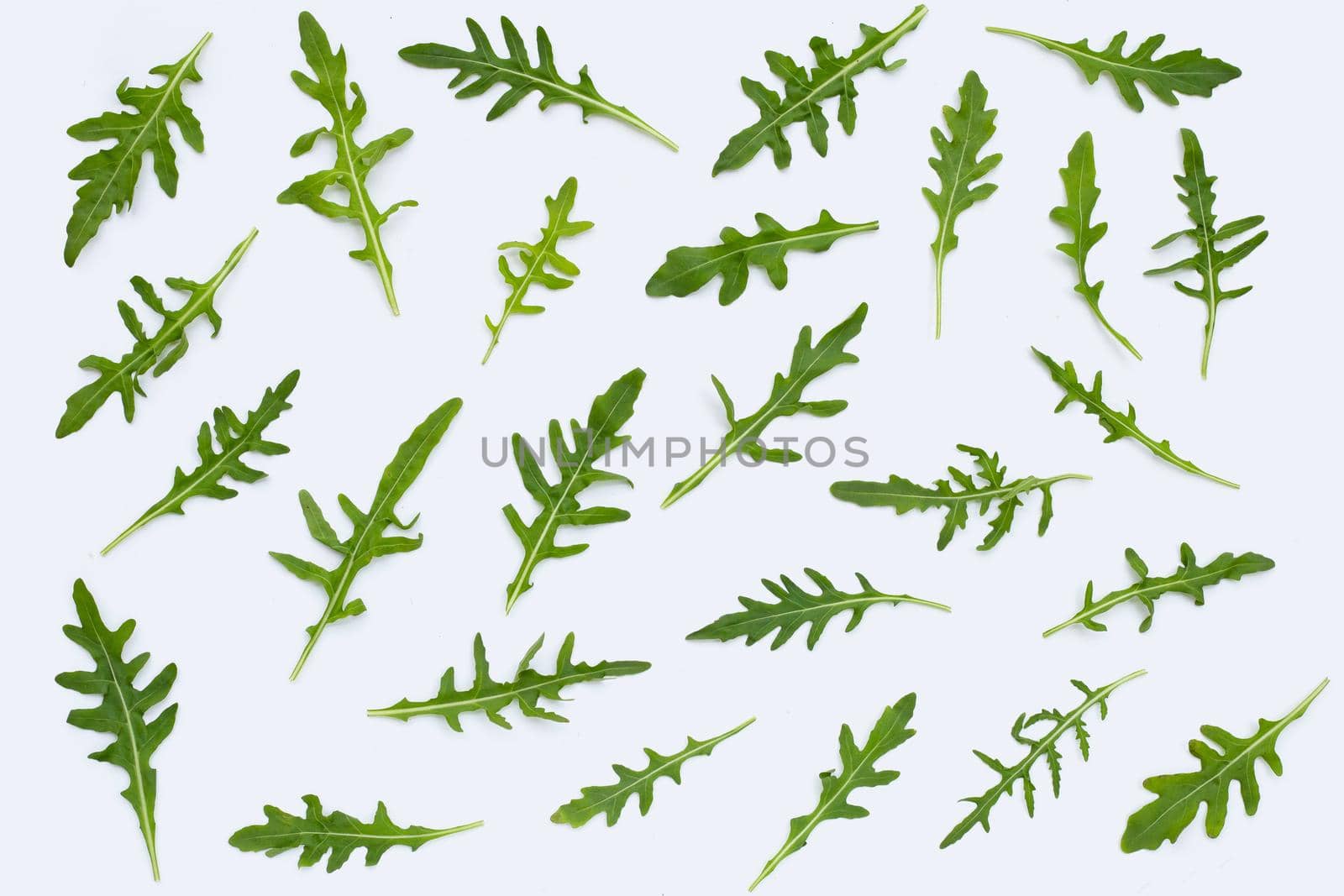 Fresh green rocket salad on white background.