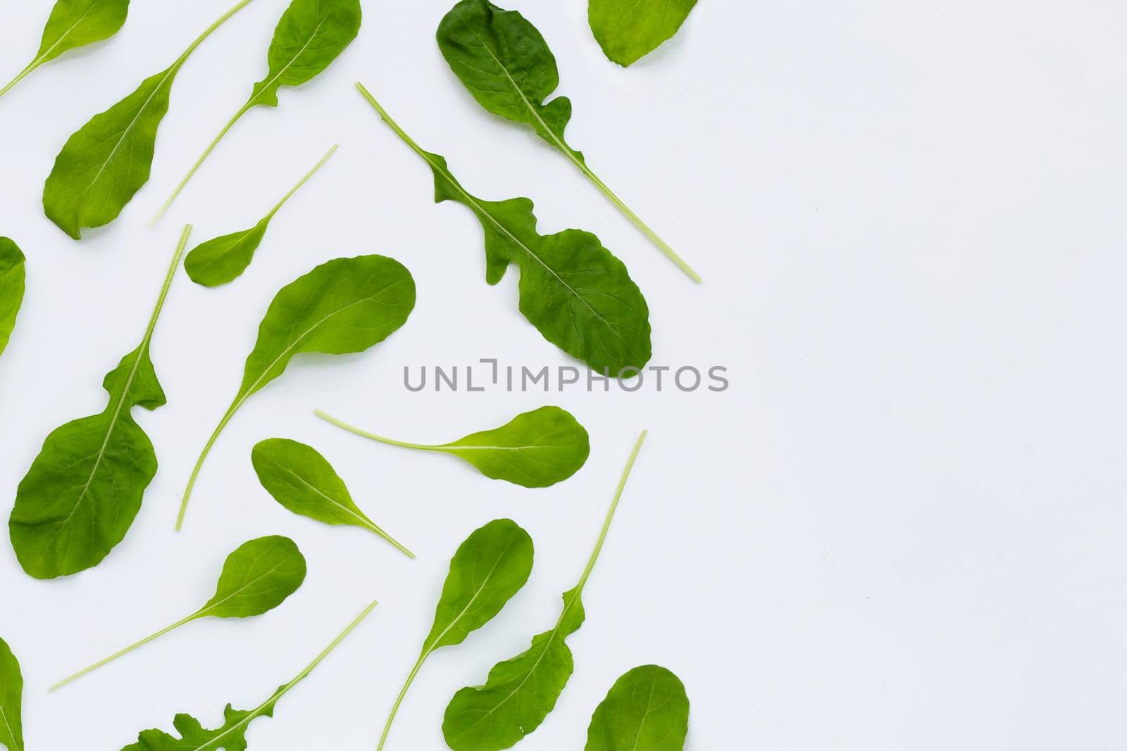 Fresh green rocket salad on white background.