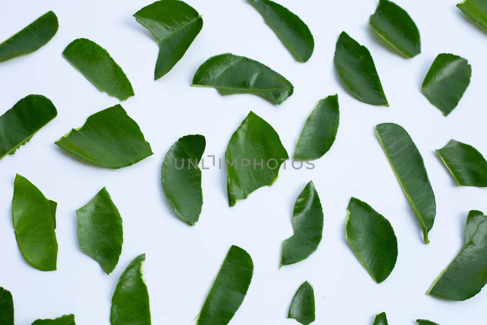 Bergamot kaffir lime leaves herb fresh ingredient isolated on white background.