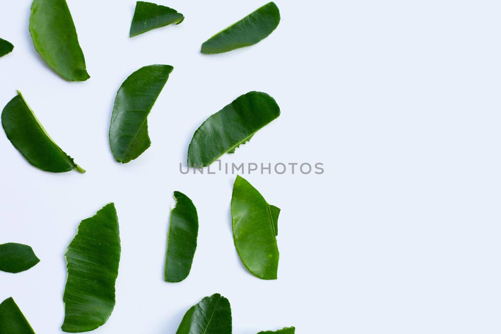Bergamot kaffir lime leaves herb fresh ingredient isolated on white background.