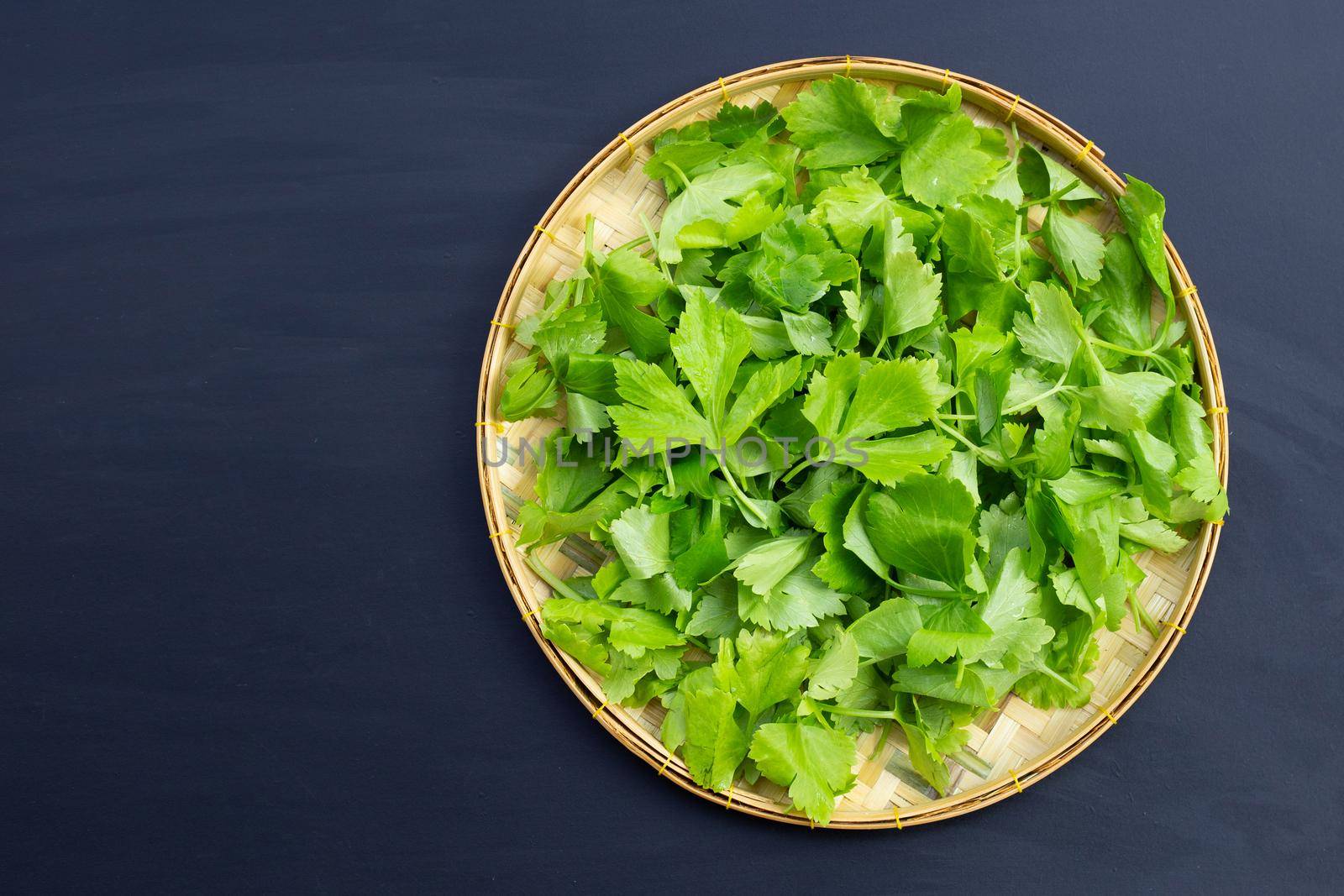 Chinese celery on dark background. Top view