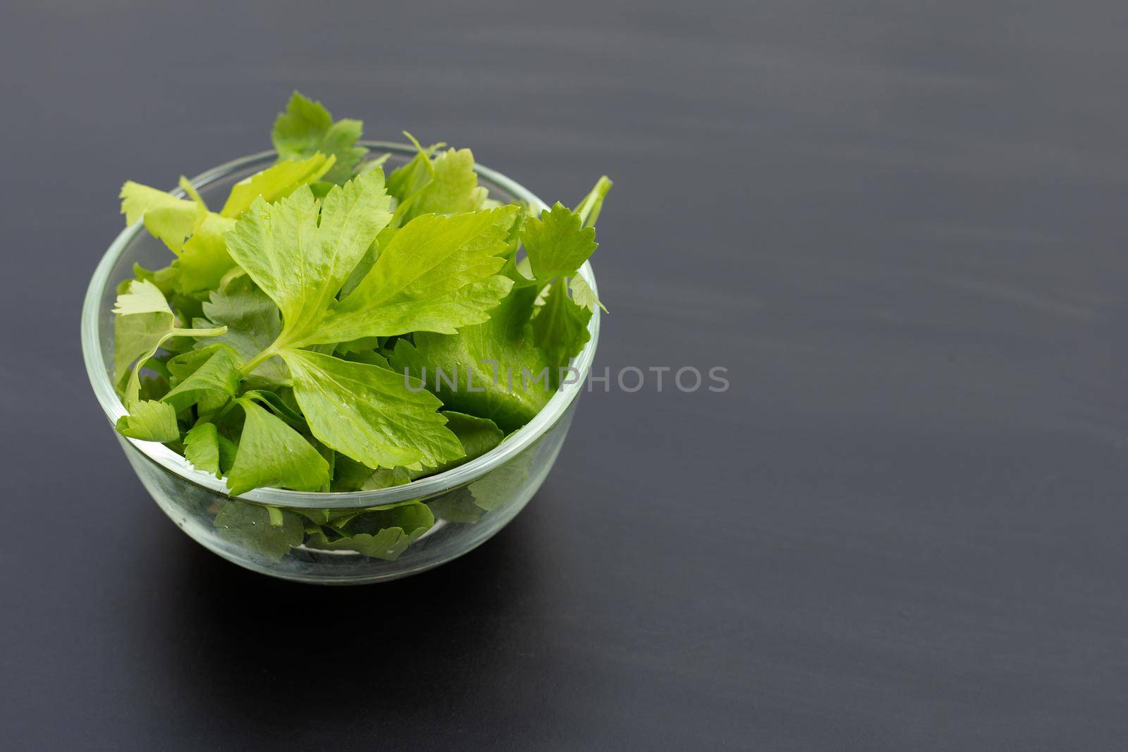 Chinese celery on dark background.