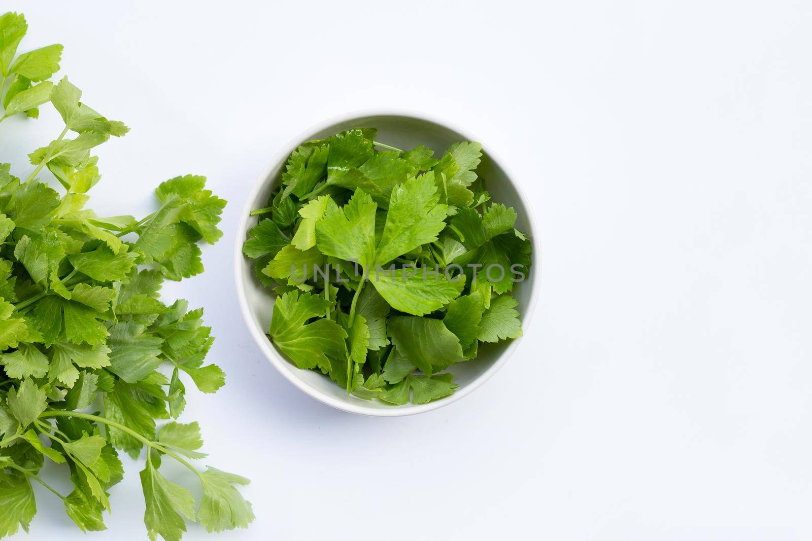 Chinese celery on white background