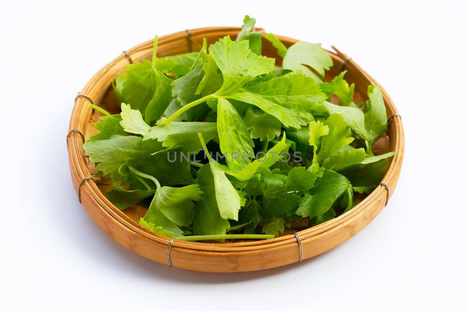 Chinese celery on white background