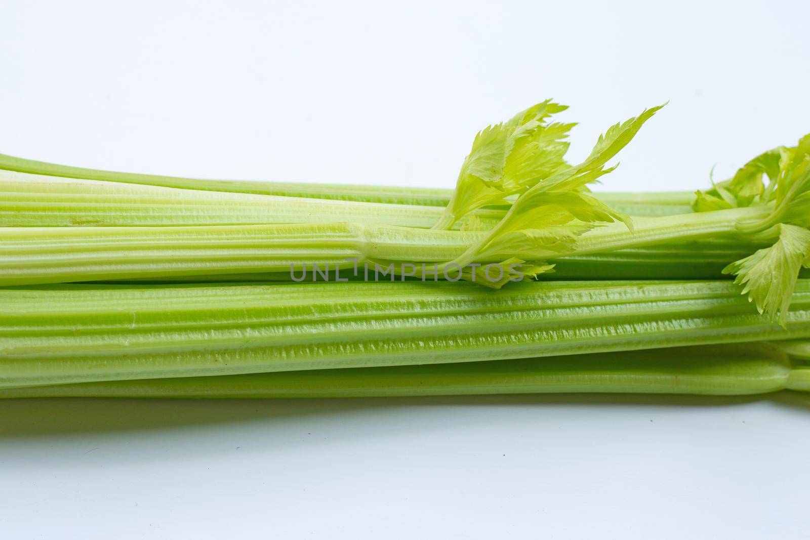 Fresh celery on white background. 