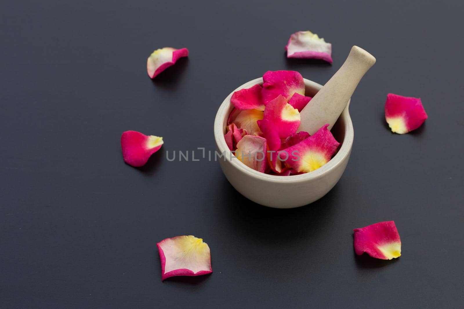 Rose petals in porcelain mortar with pestle isolated on dark background.