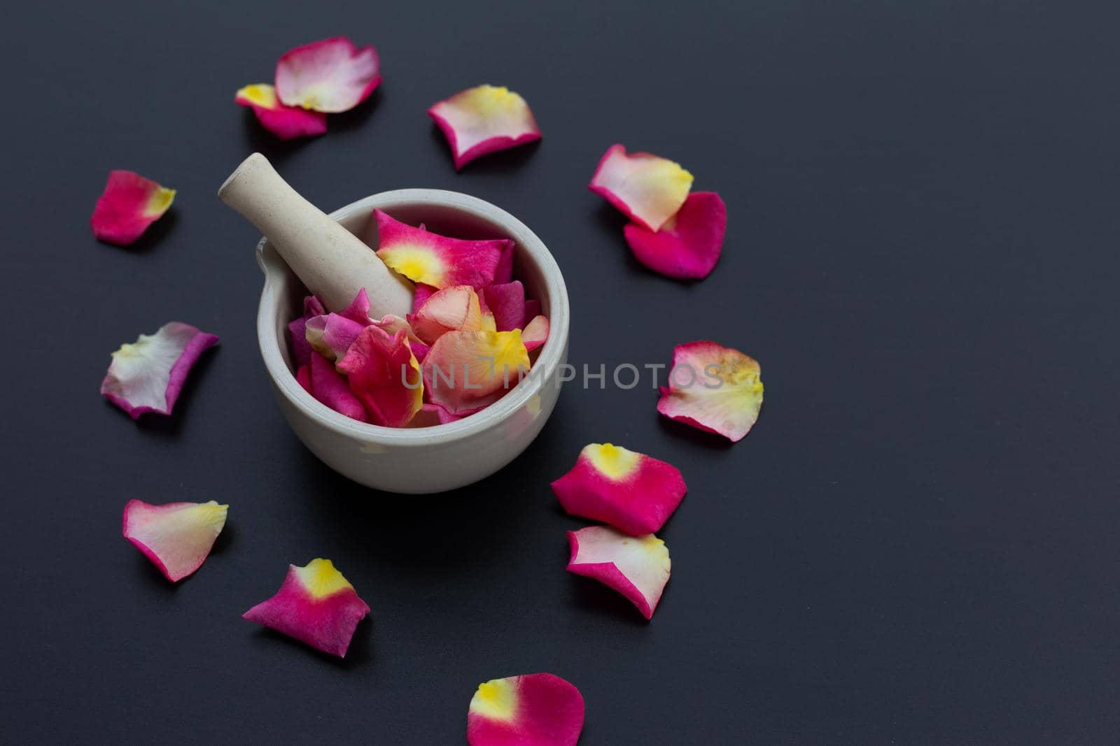 Rose petals in porcelain mortar with pestle isolated on dark background.
