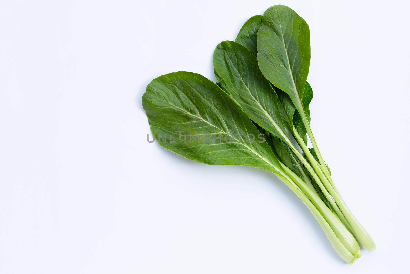 Choy Sum on white background. Copy space