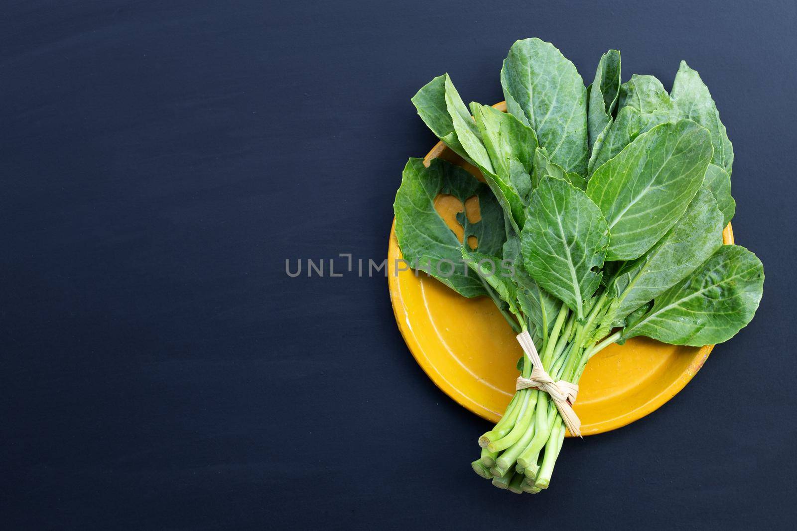 Collard green leaves with holes, eaten by pest. Organic Vegetable