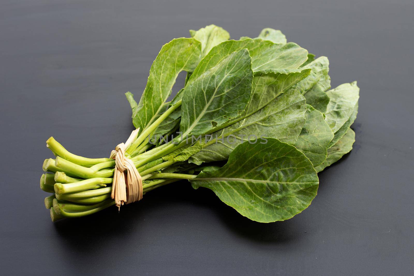 Organic collard green on dark background.