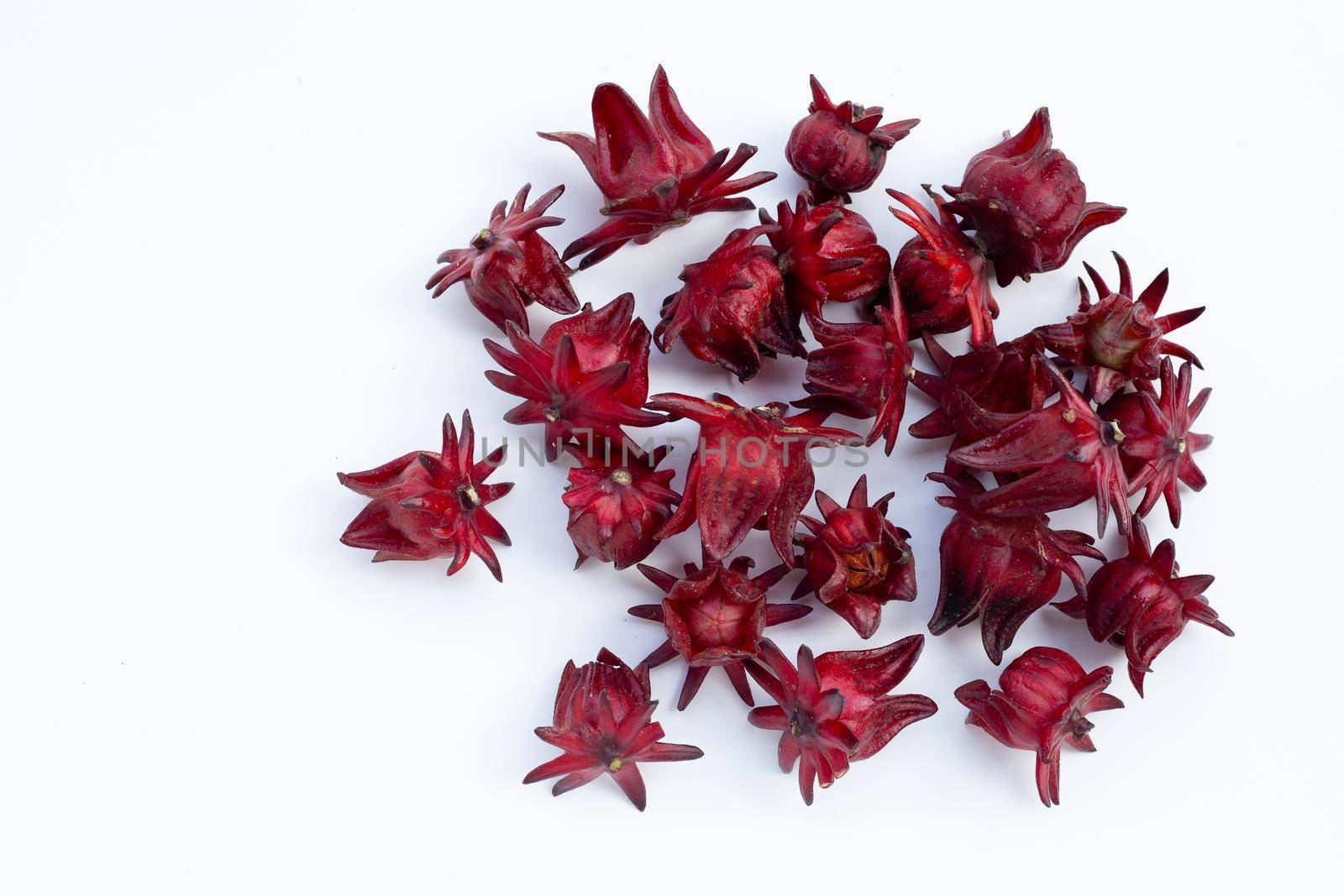 Roselle flower isolated on white background.