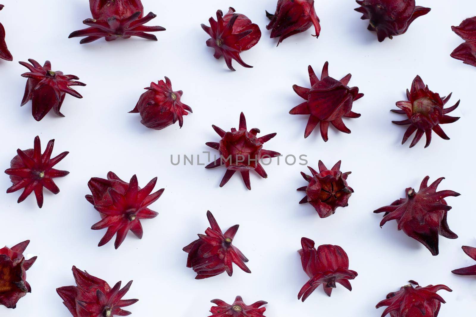 Roselle flower isolated on white background.