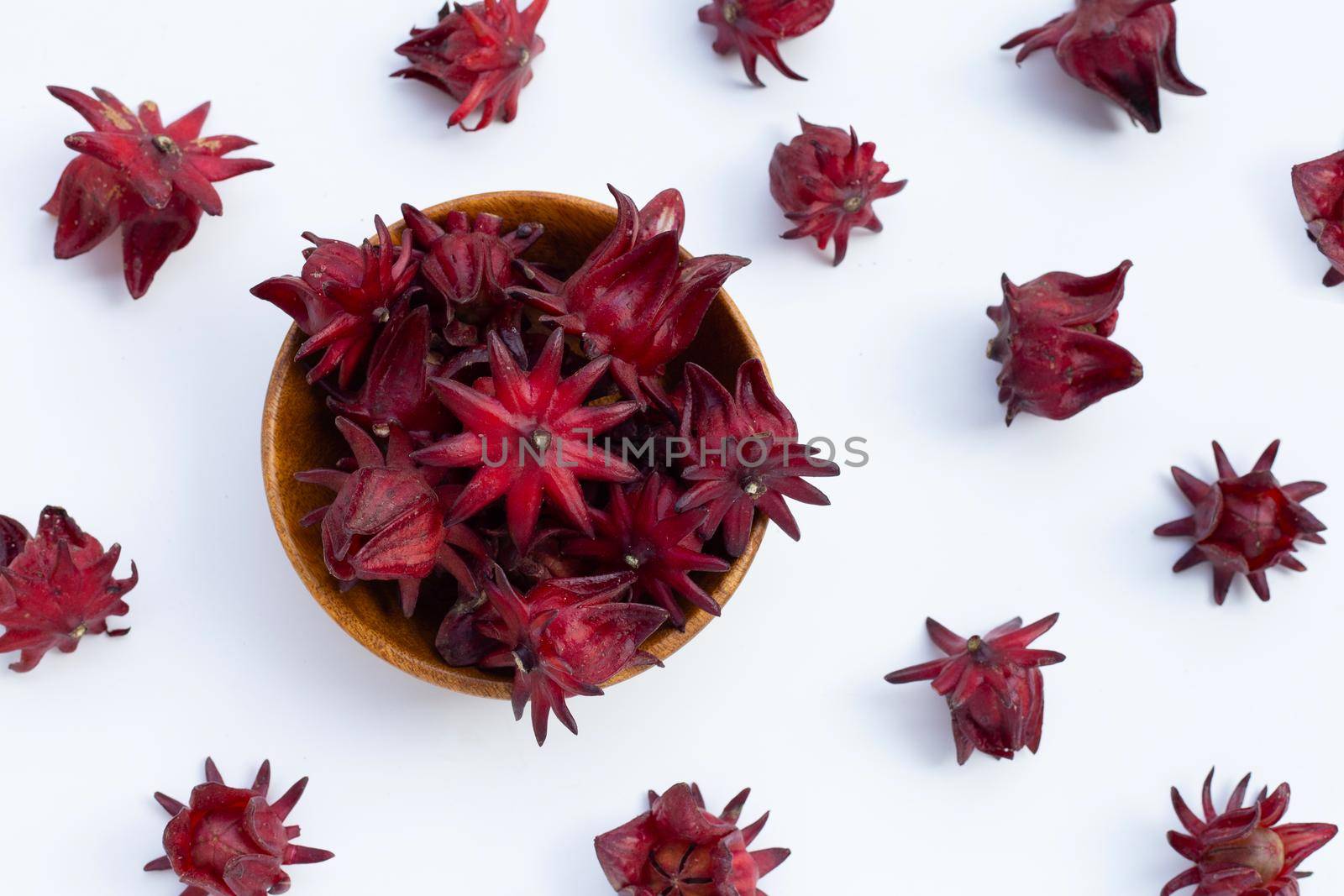 Roselle flower isolated on white background.