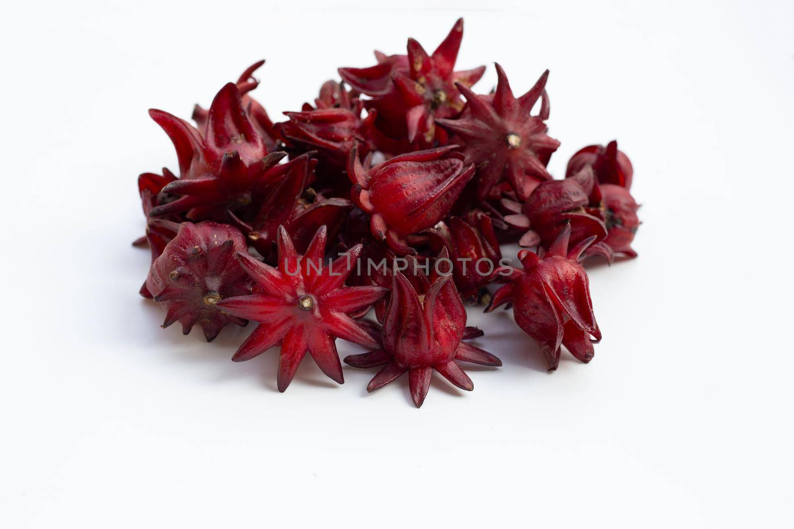 Roselle flower isolated on white background.