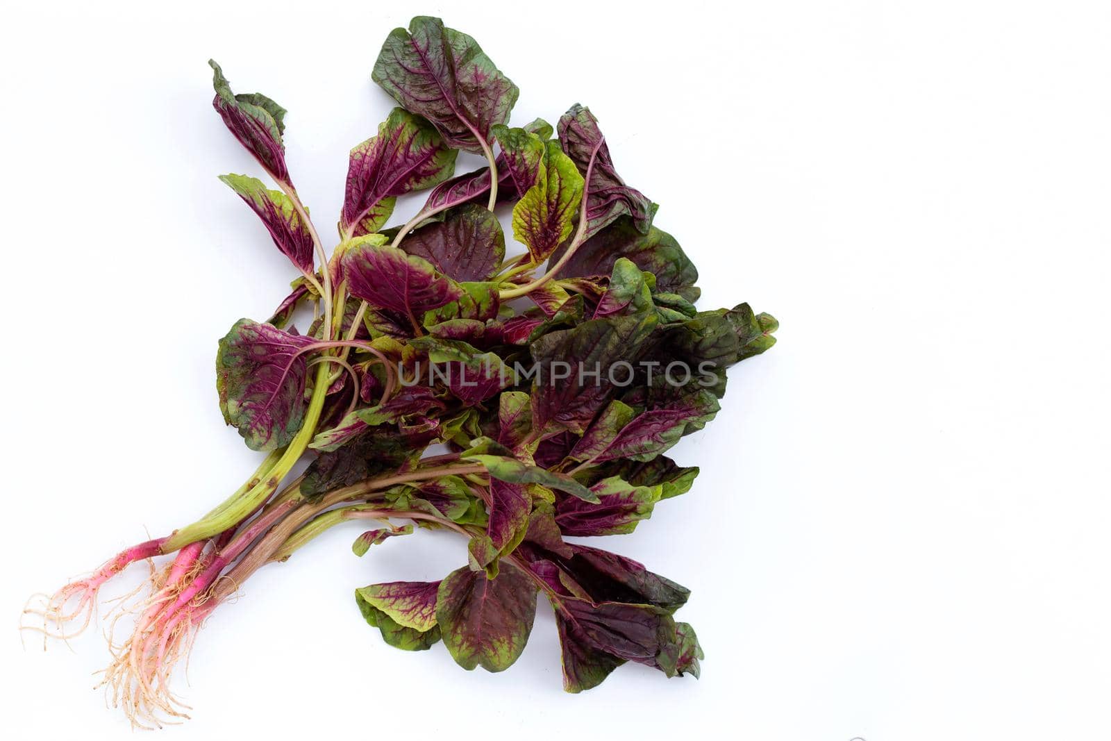 Red spinach on white background.