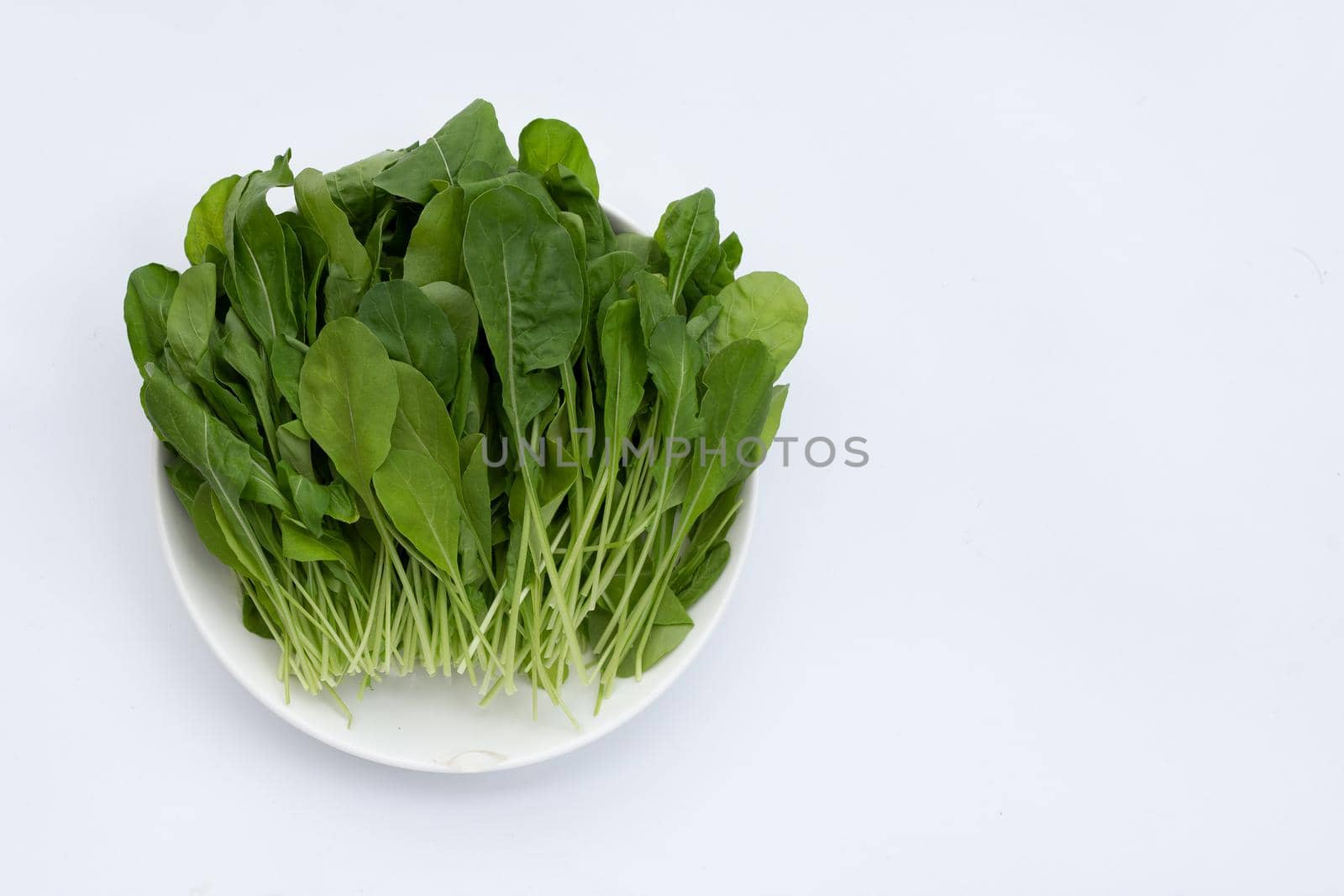 Fresh green rocket salad on white background.