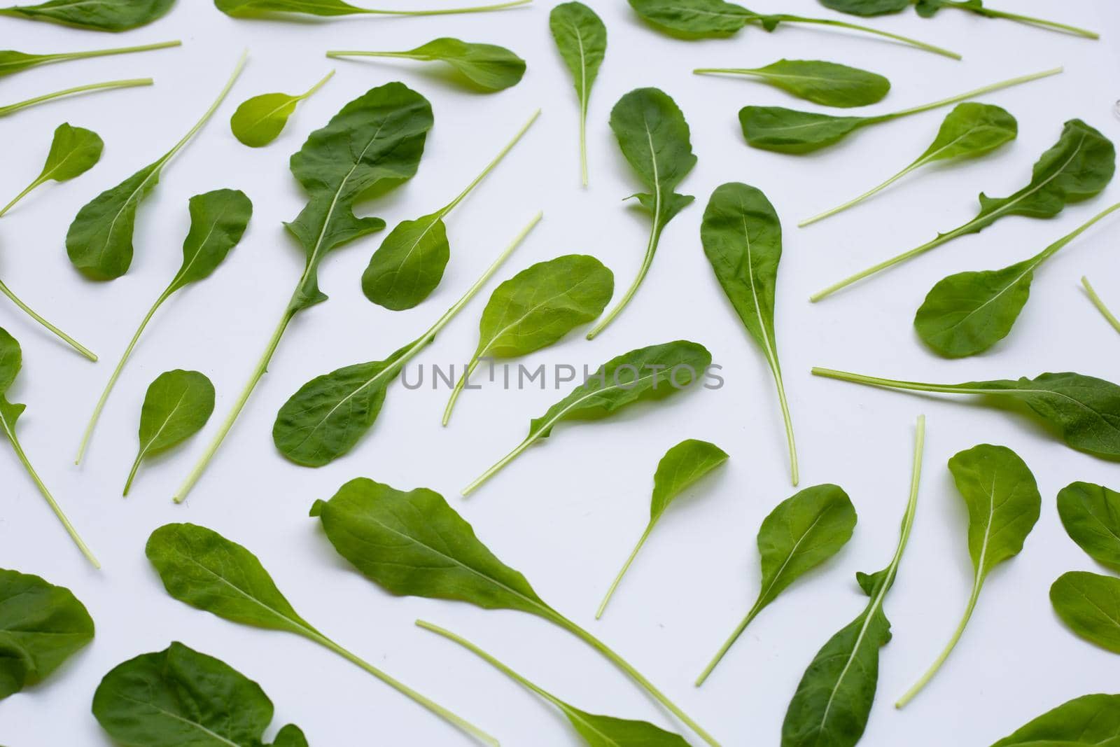 Fresh green rocket salad on white background.