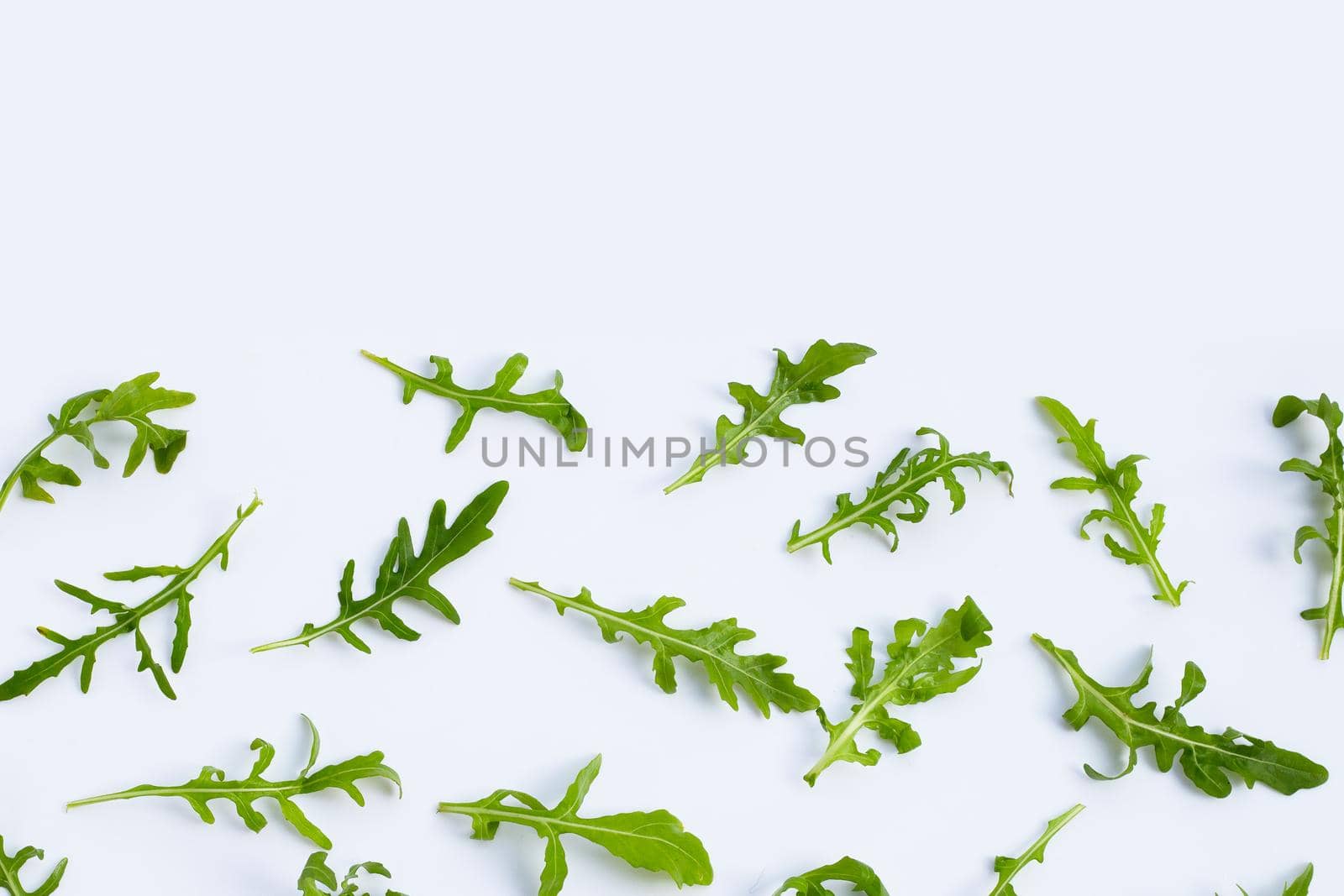 Fresh green rocket salad on white background.