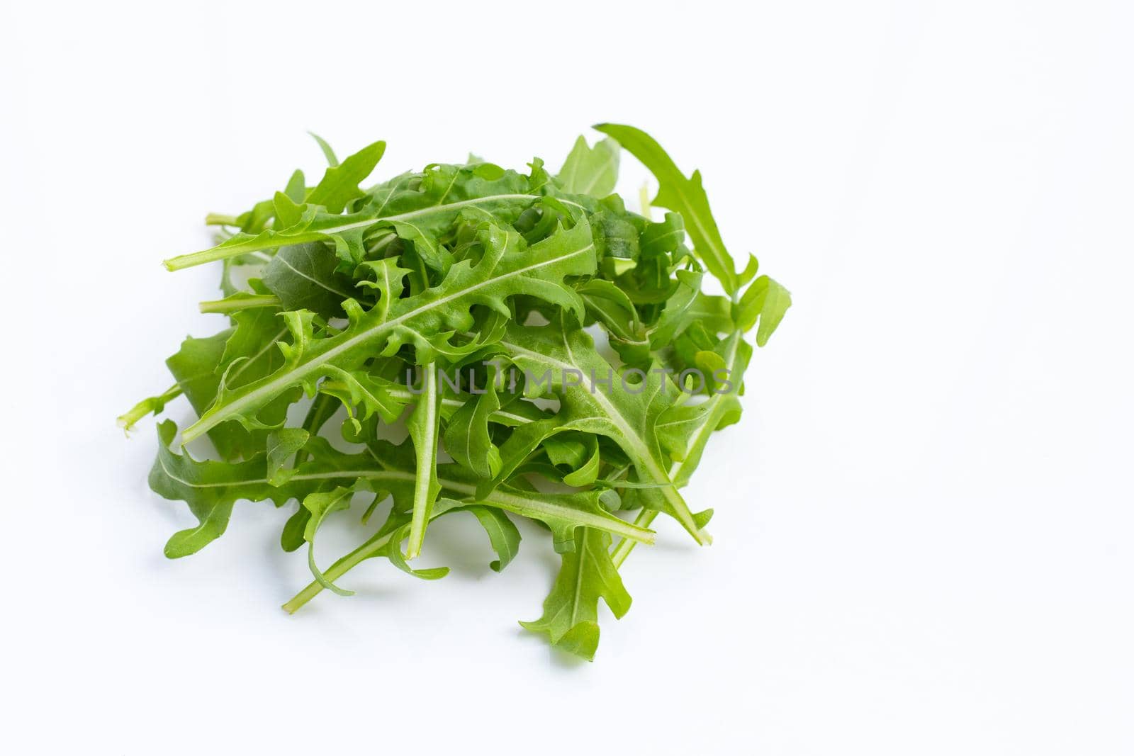 Fresh green rocket salad on white background.